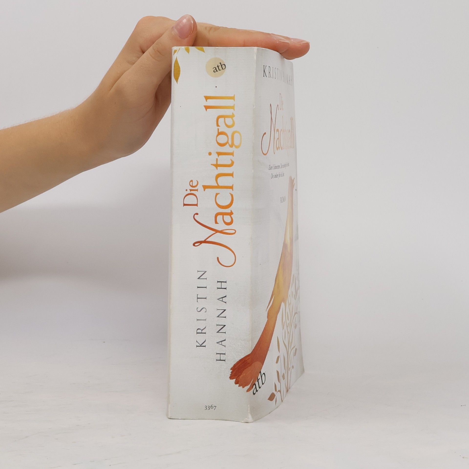 Kristin Hannah Die Nachtigall