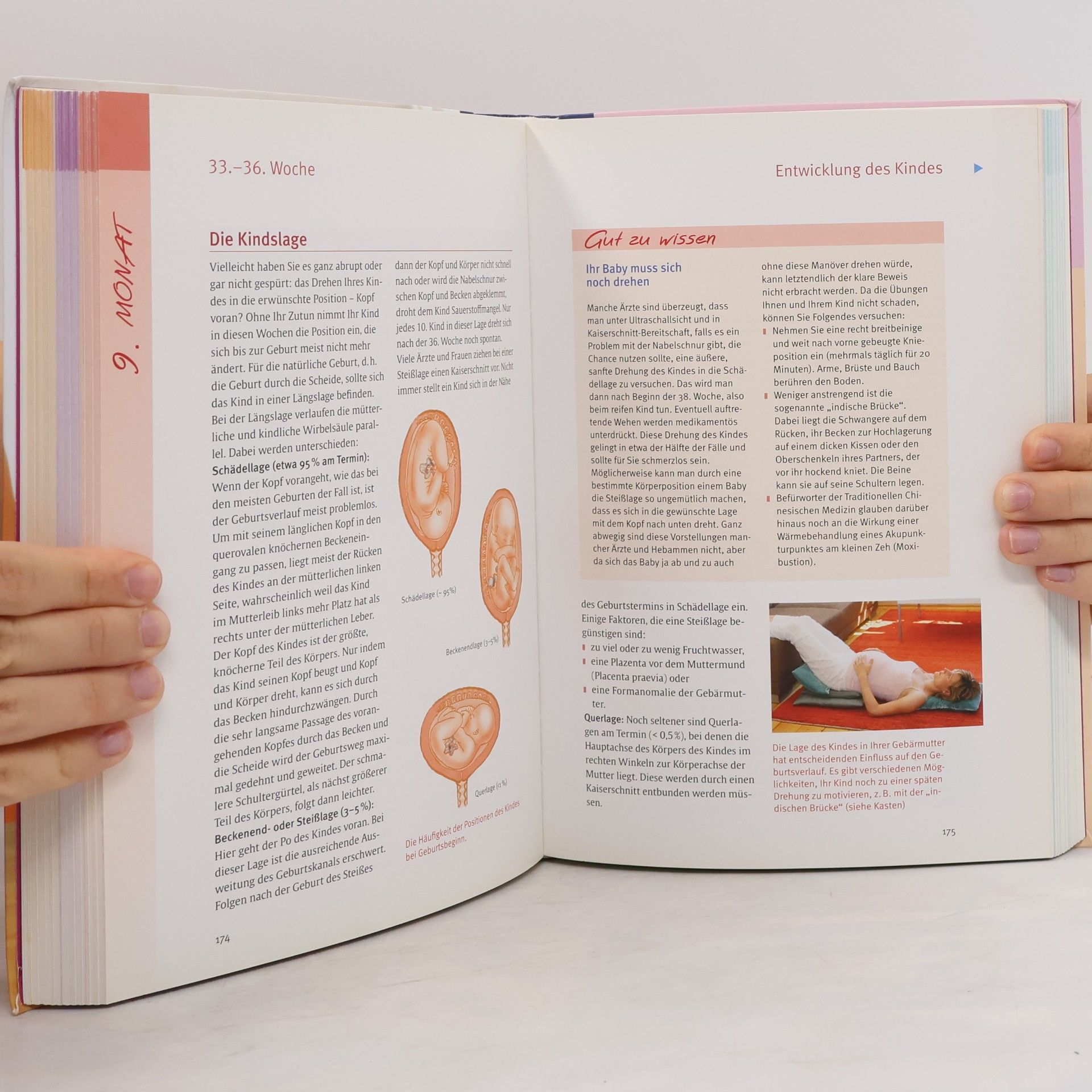 Various authors Schwangerschaft Geburt & erste Babymonate