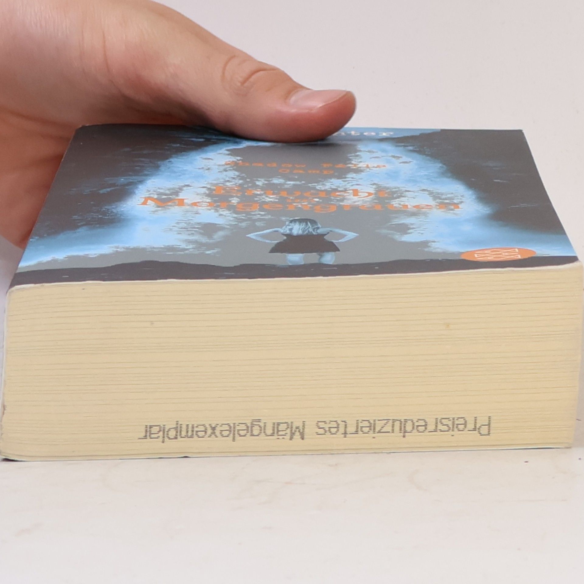 C.C. Hunter Shadow Falls Camp 2: Erwacht im Morgengrauen