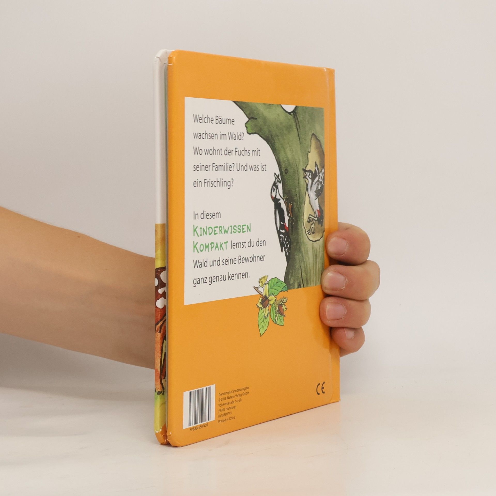 Autorenkollektiv Waldtiere
