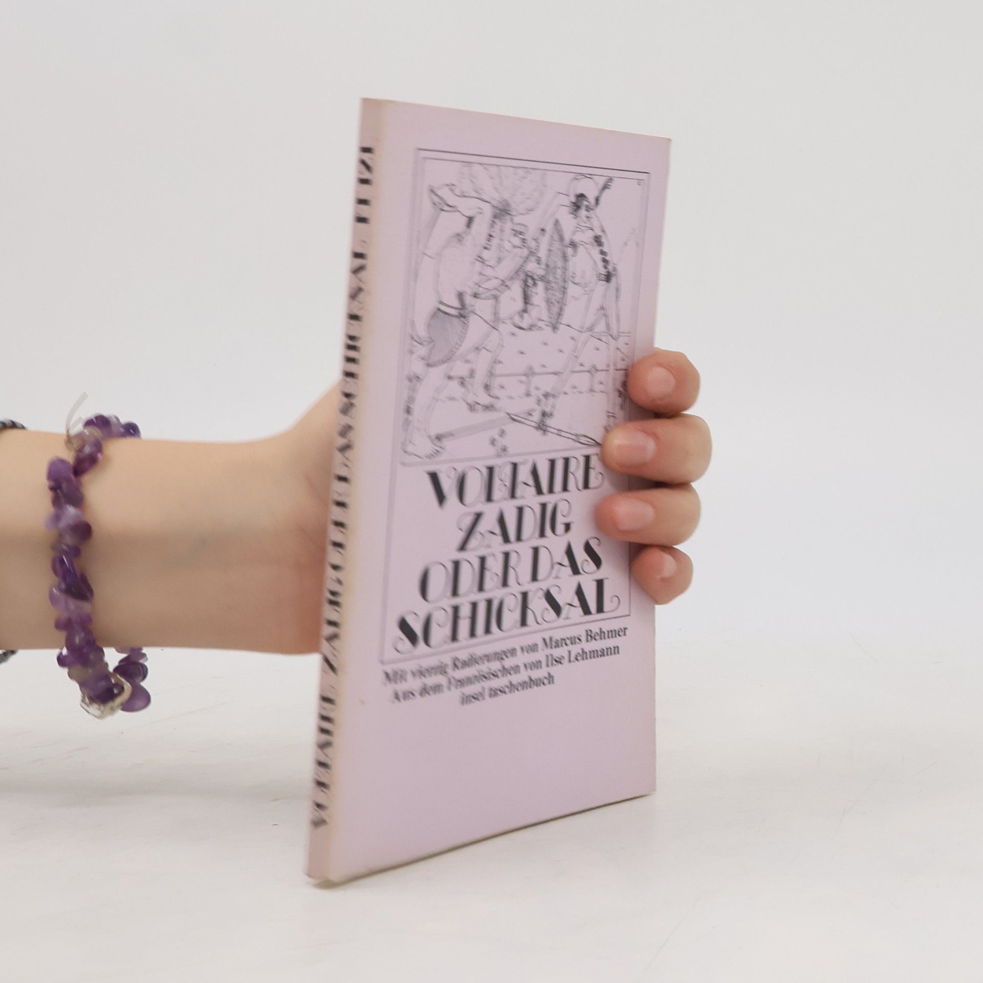 Insel Taschenbuch: Zadig oder das Schicksal