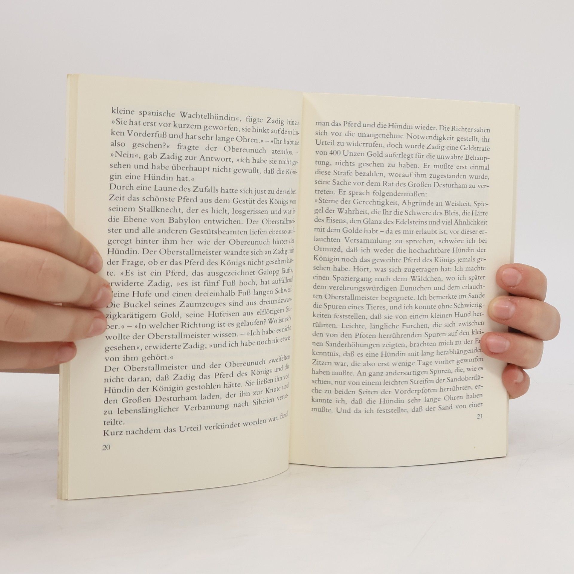 Voltaire Insel Taschenbuch: Zadig oder das Schicksal