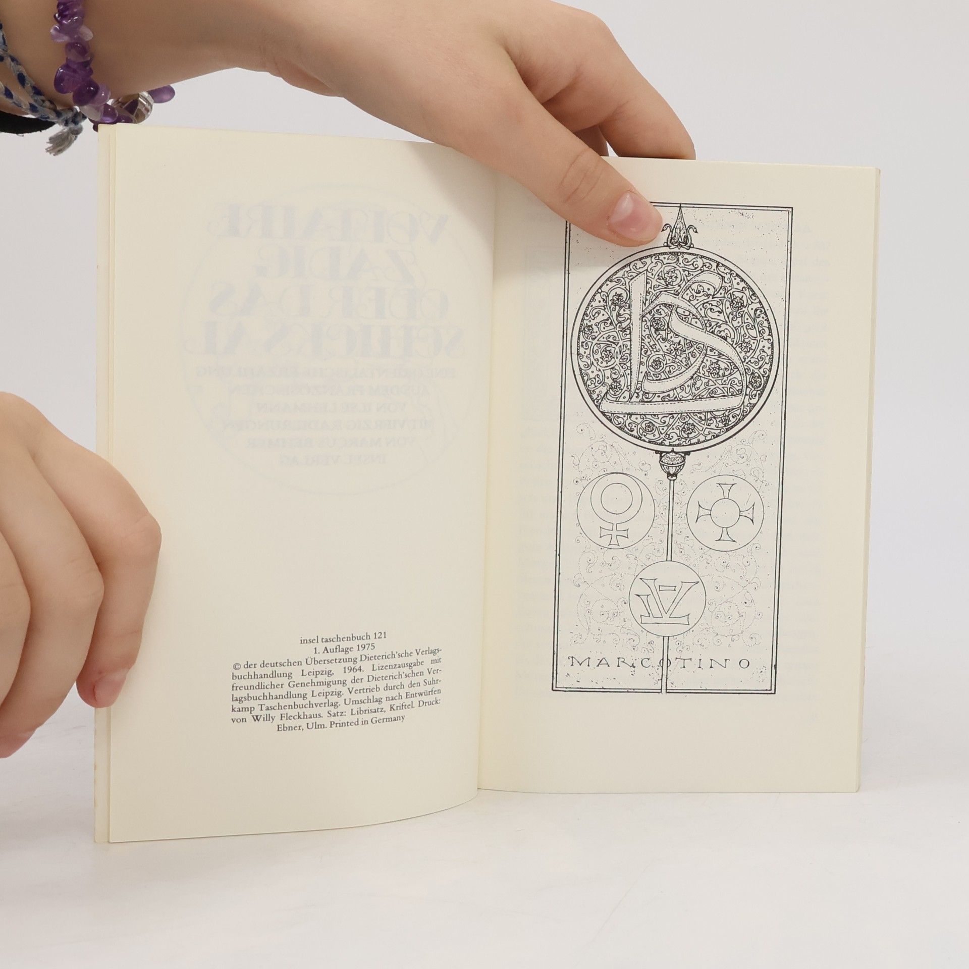 Voltaire Insel Taschenbuch: Zadig oder das Schicksal