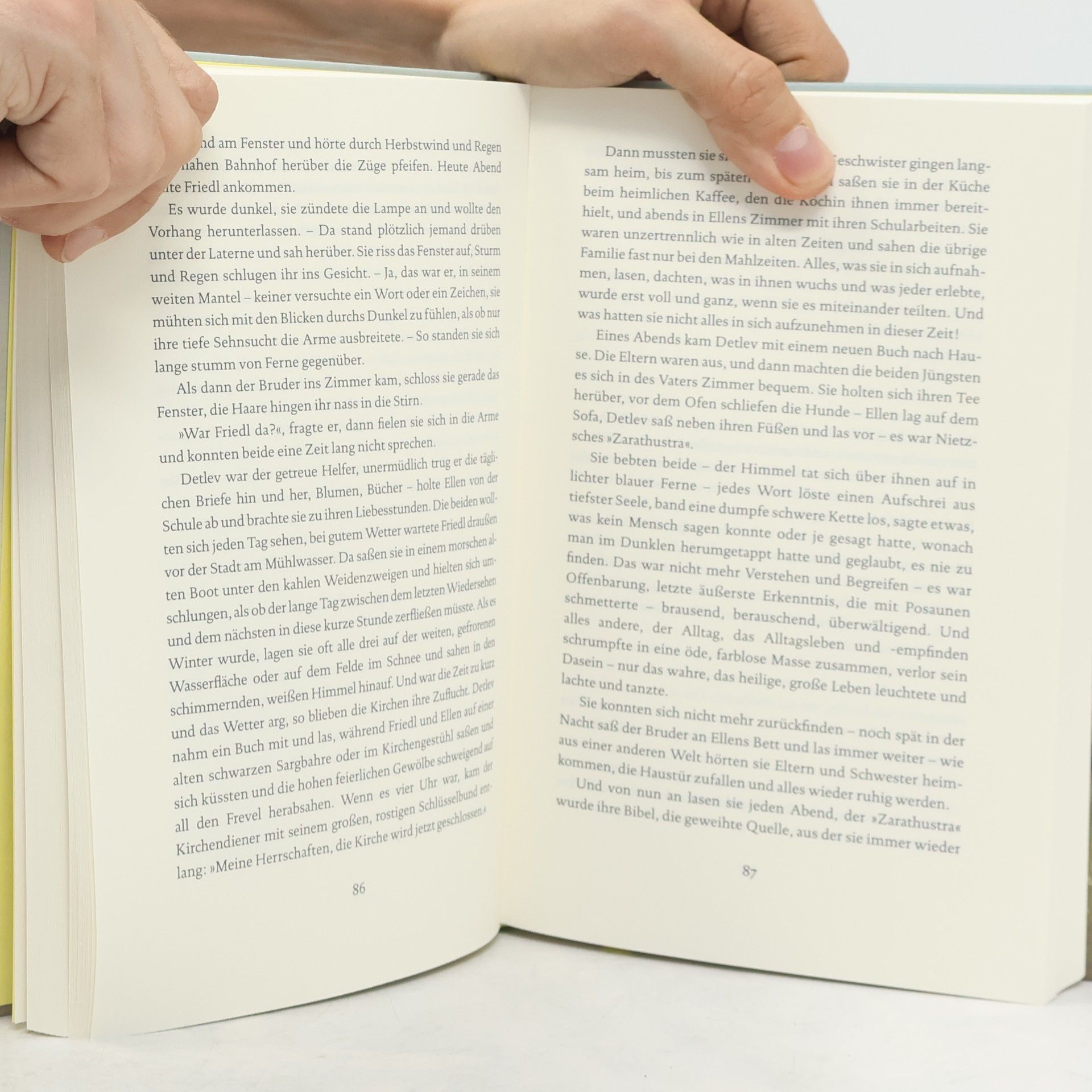 Fanny zu Reventlow Ellen: Der autobiografische Roman der Schwabinger Gräfin über Emanzipation und Bohème
