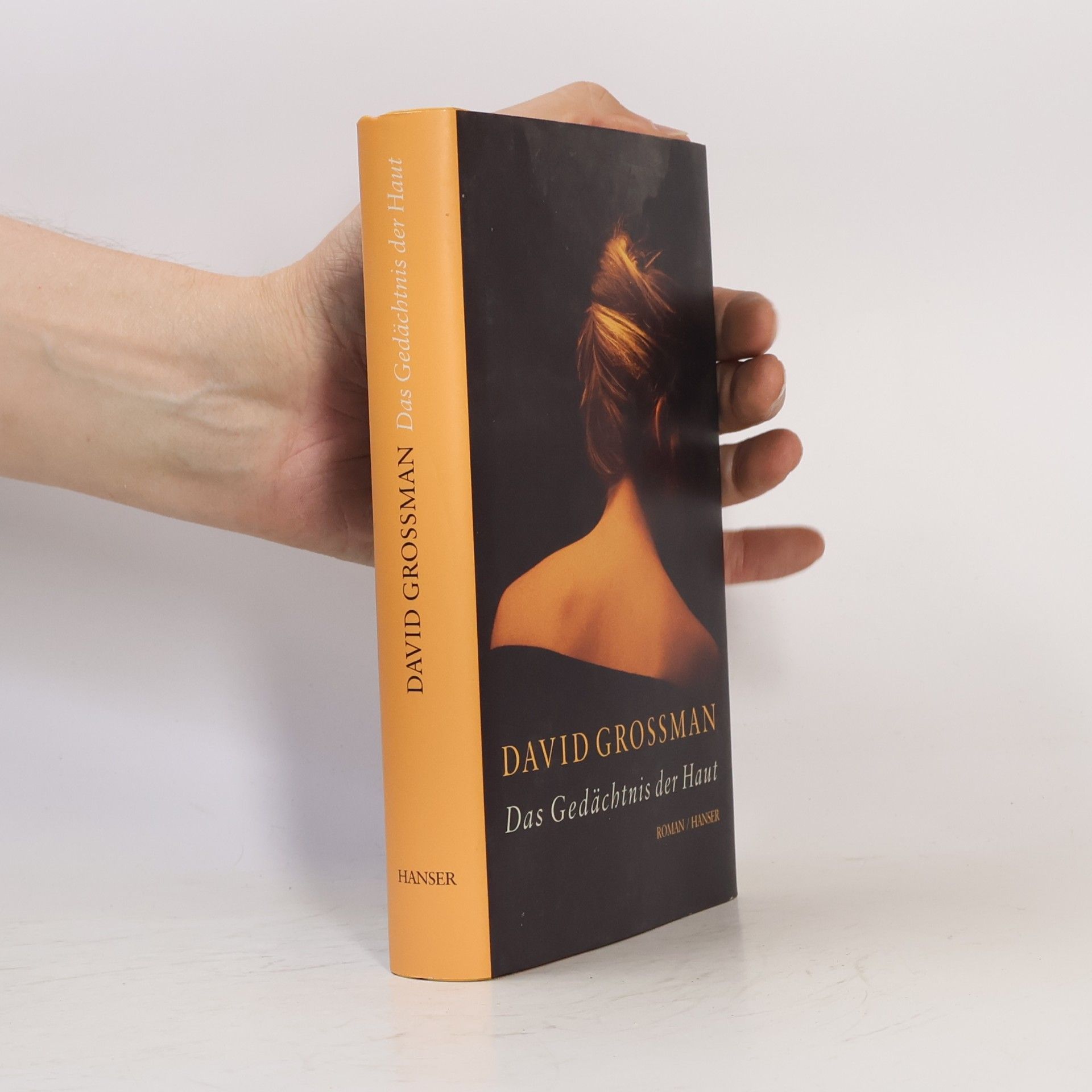 David Grossman Das Gedächtnis der Haut