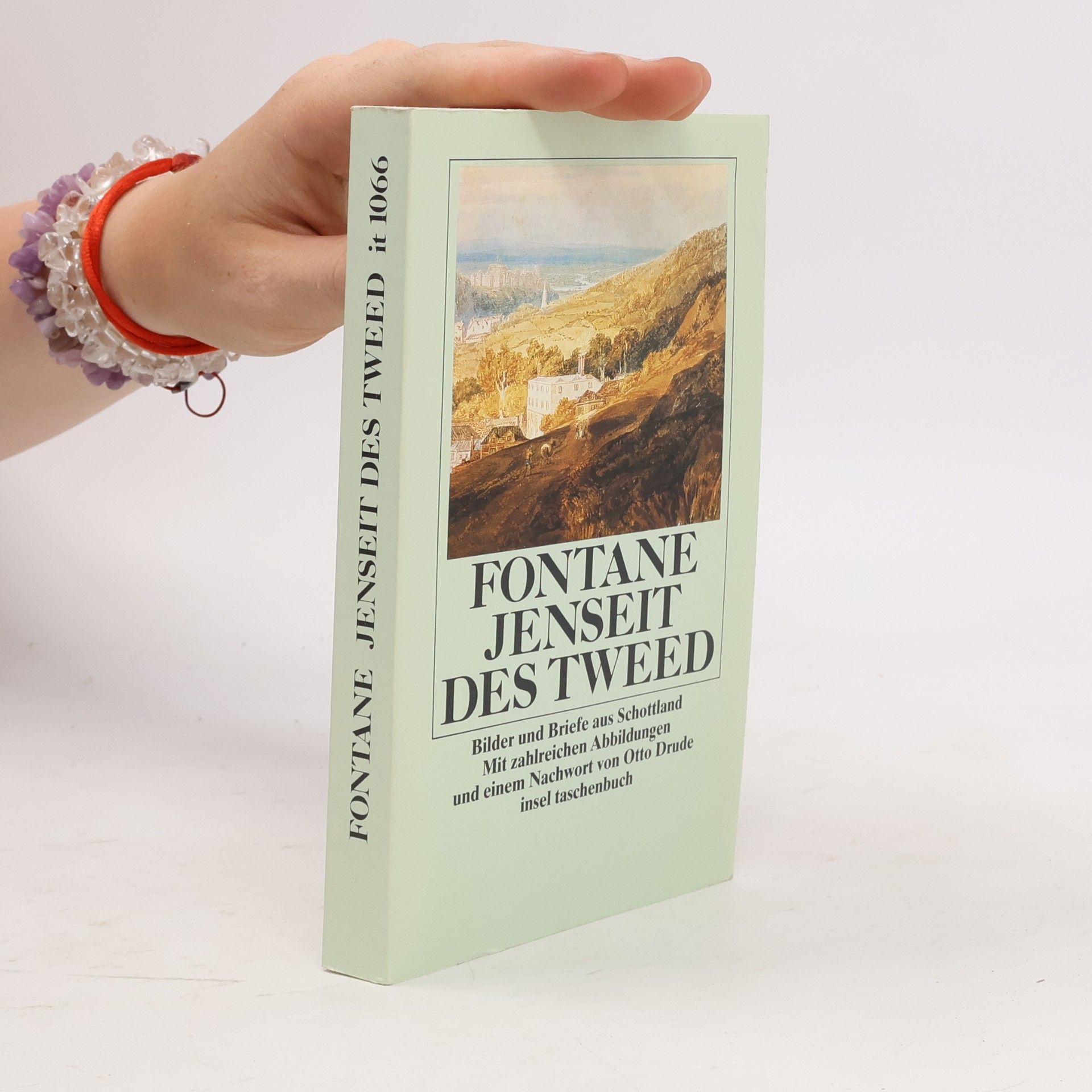 Theodor Fontane Jenseit des Tweed