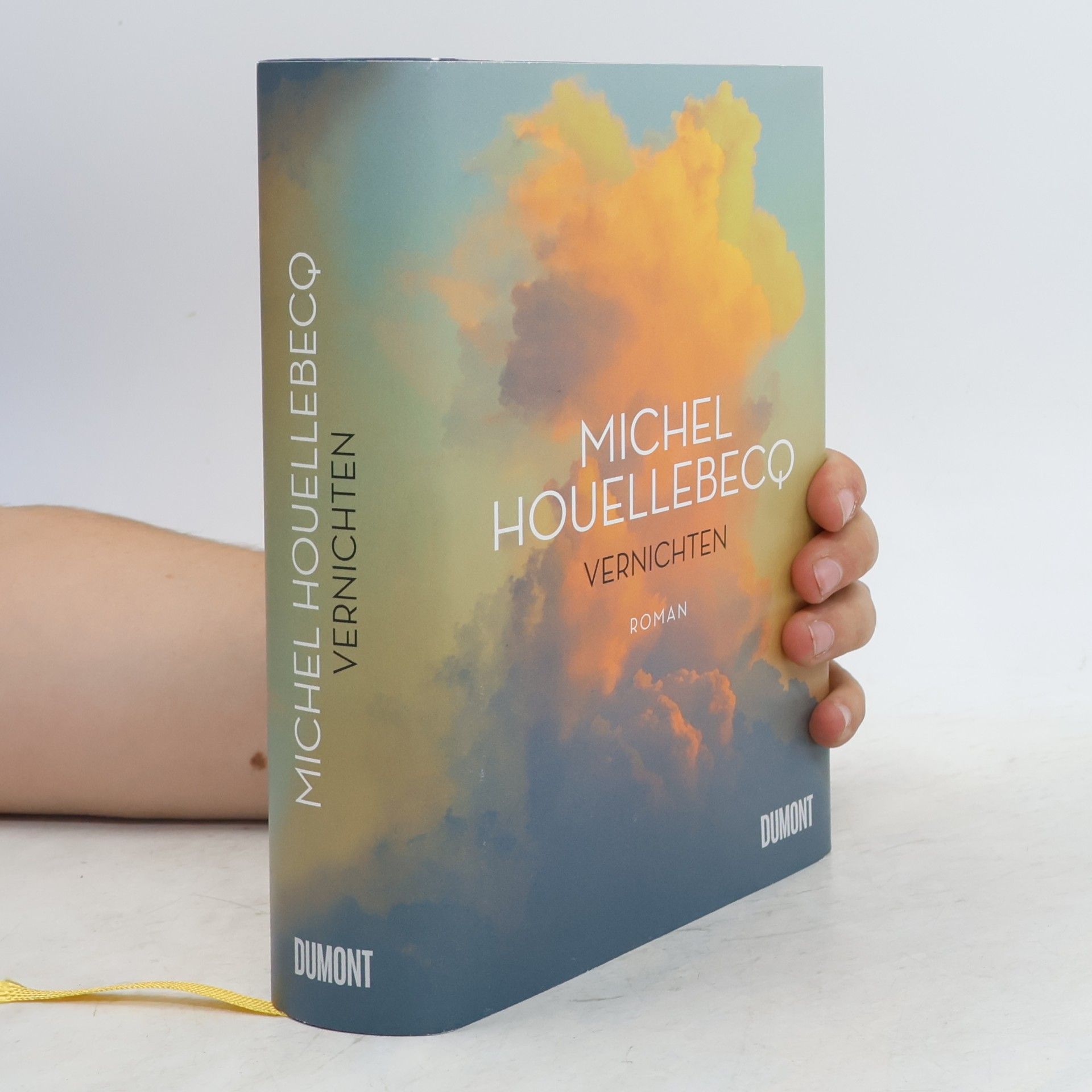 Michel Houellebecq Vernichten