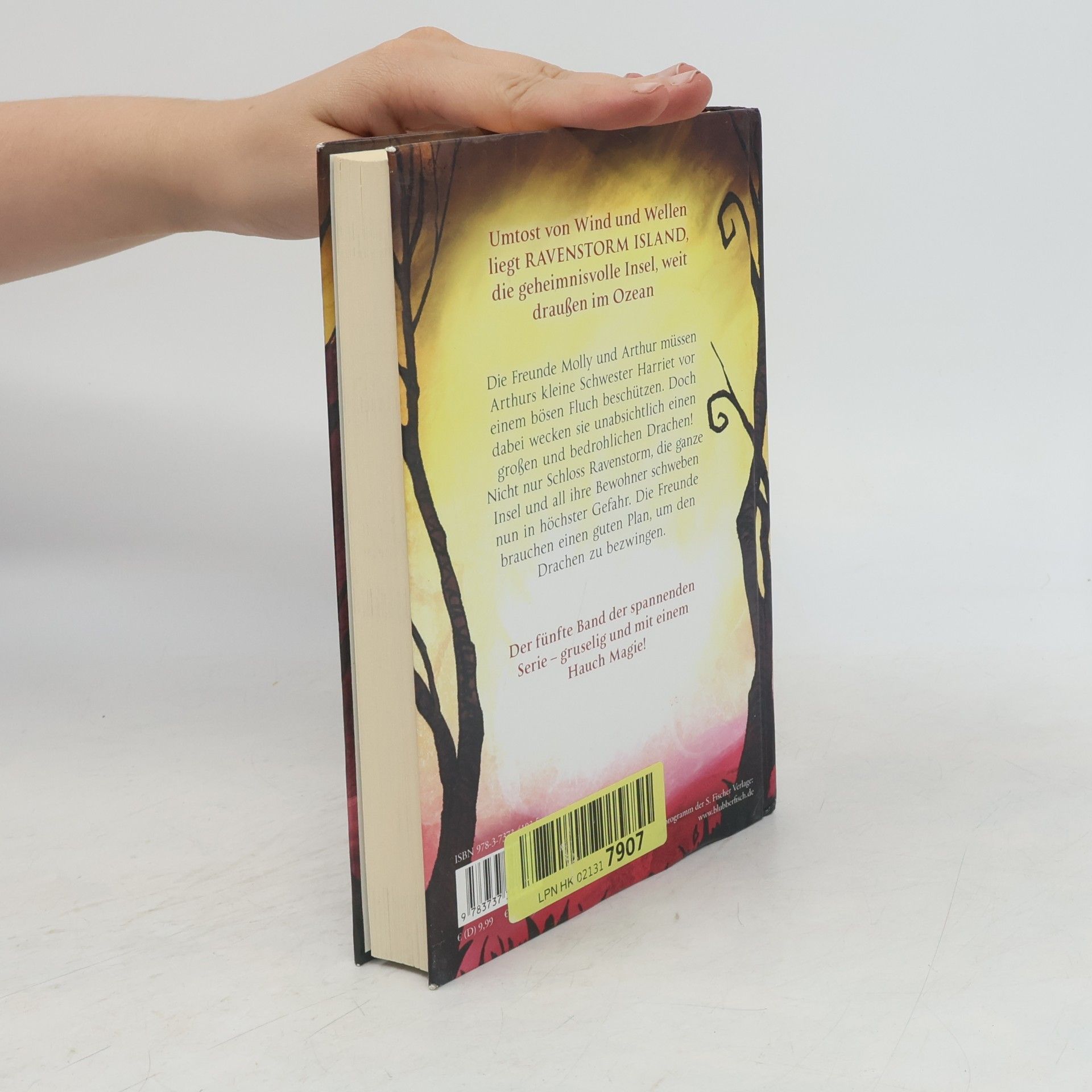 Gillian Philip Der schlafende Drache