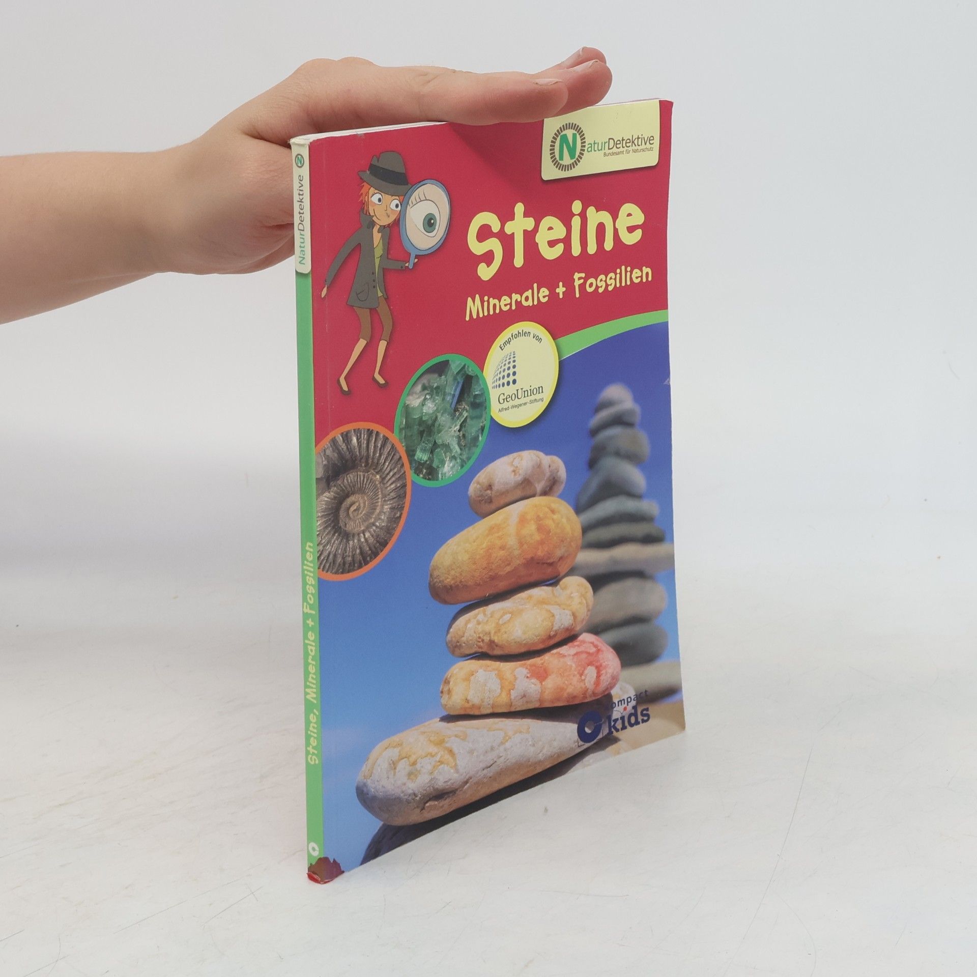 Steine, Mineralien + Fossilien