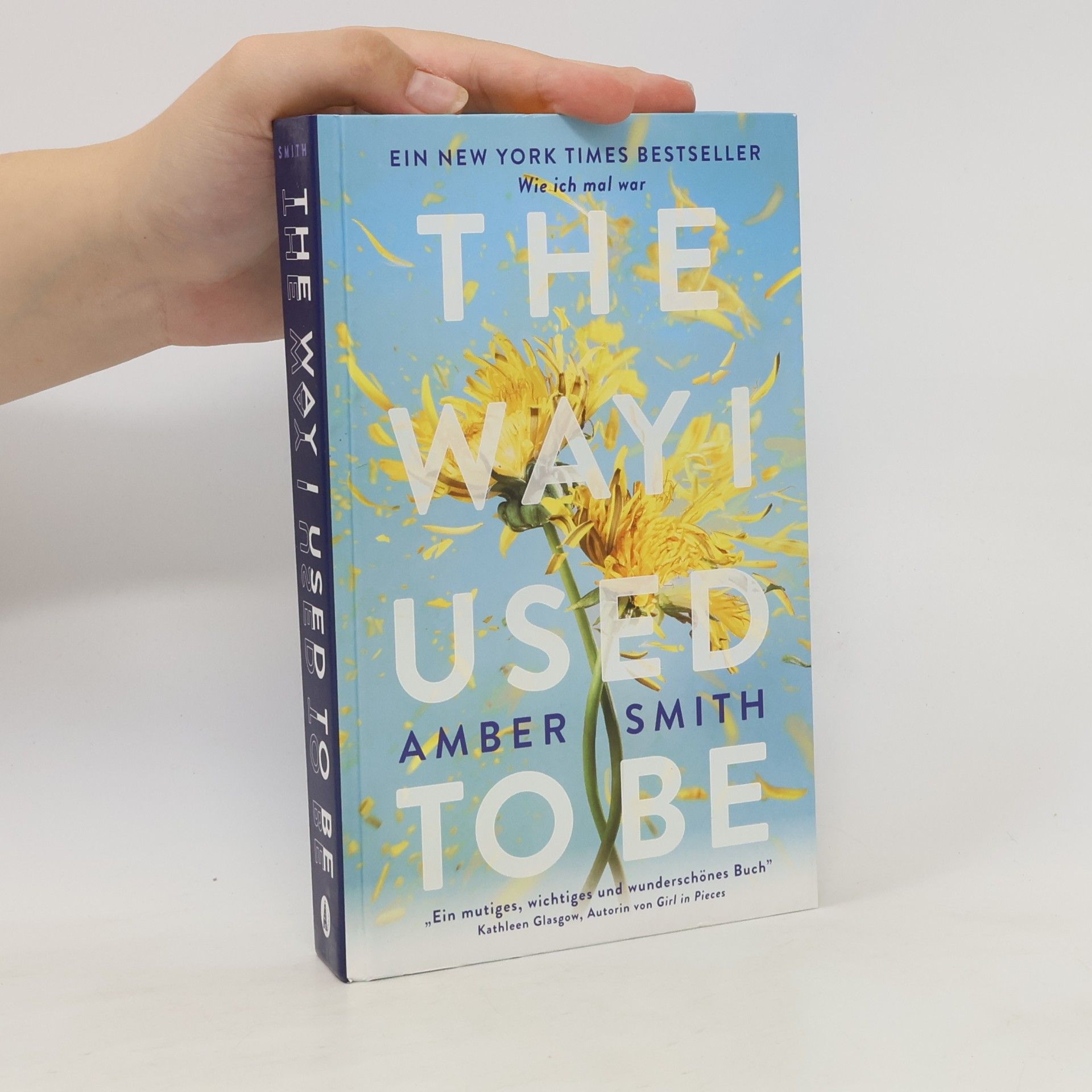 Amber Smith Wie ich mal war. The Way I Used to Be