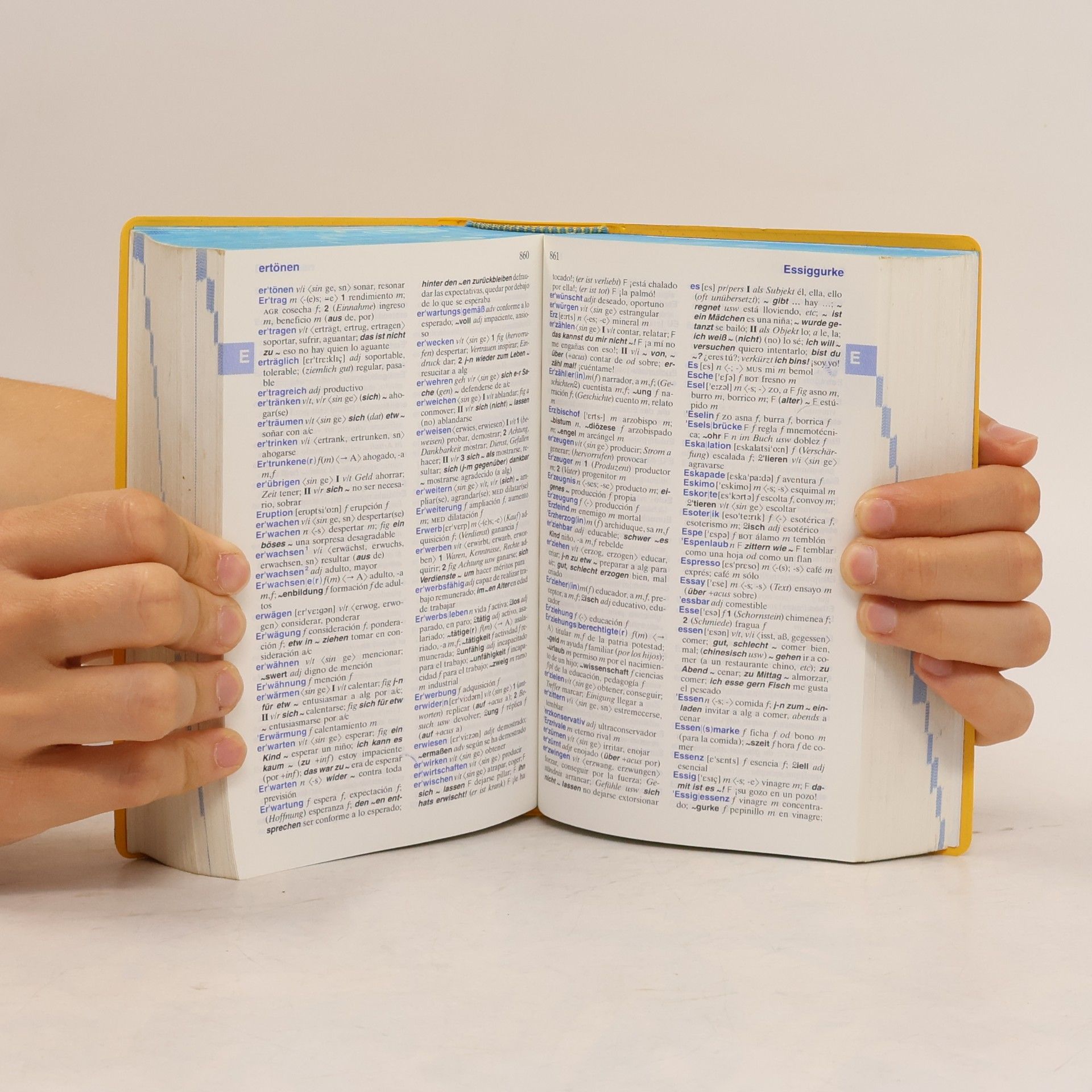 Barbara Epple Langenscheidts Taschenwörterbuch Spanisch