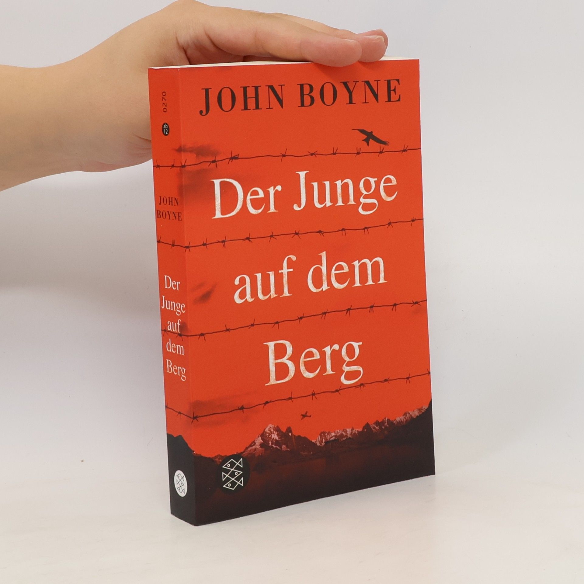 John Boyne Der Junge auf dem Berg