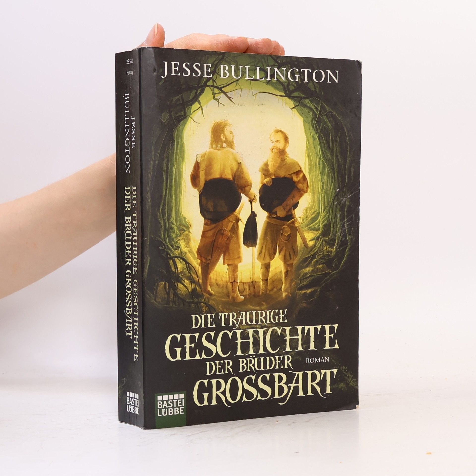 Jesse Bullington Die traurige Geschichte der Brüder Grossbart