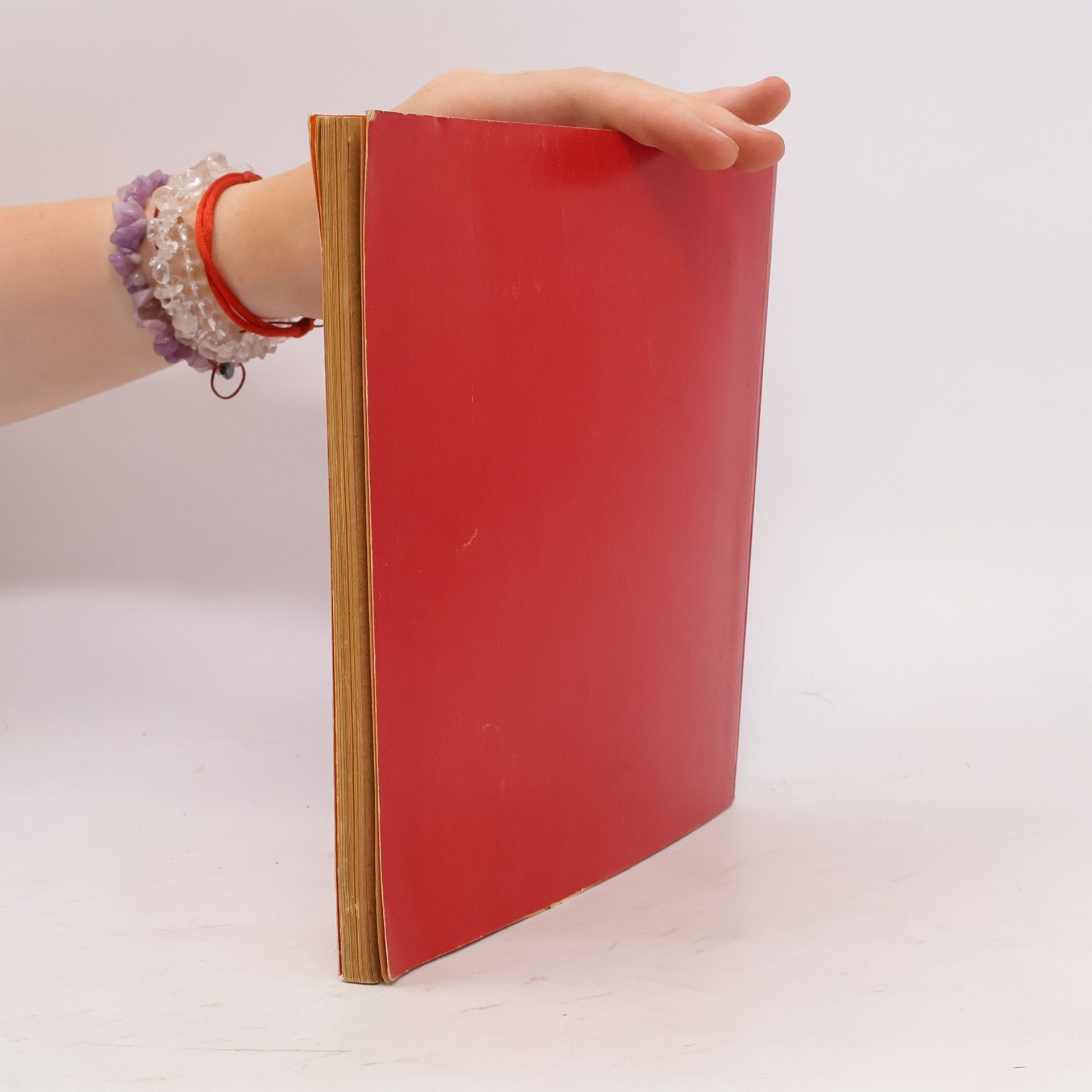 kolektiv Pamphlete