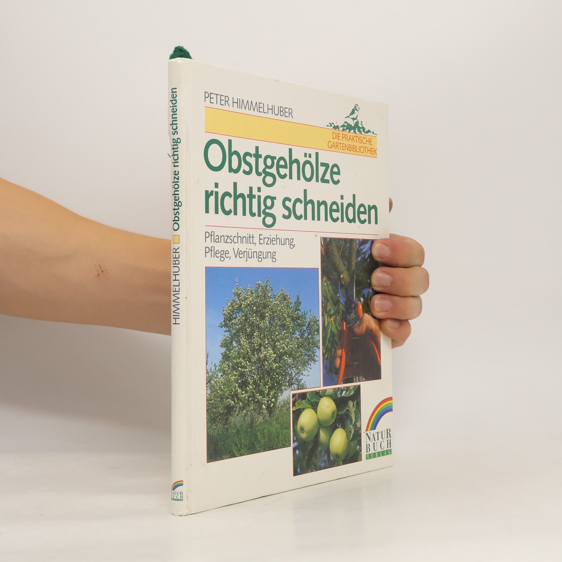 Obstgehölze richtig schneiden