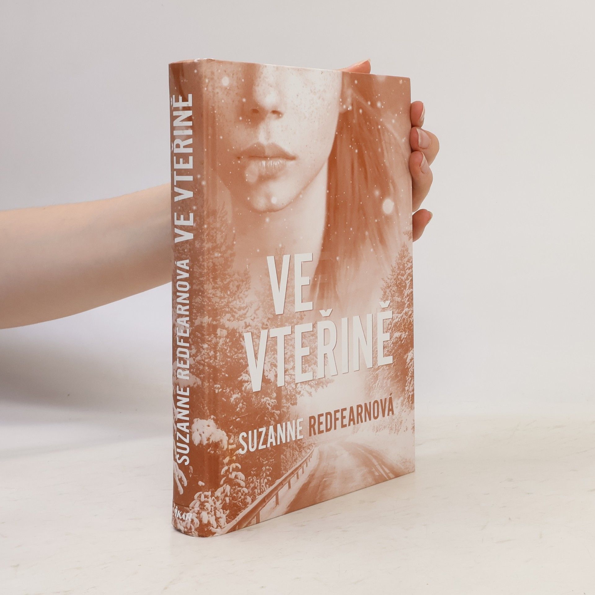 Suzanne Redfearn Ve vteřině