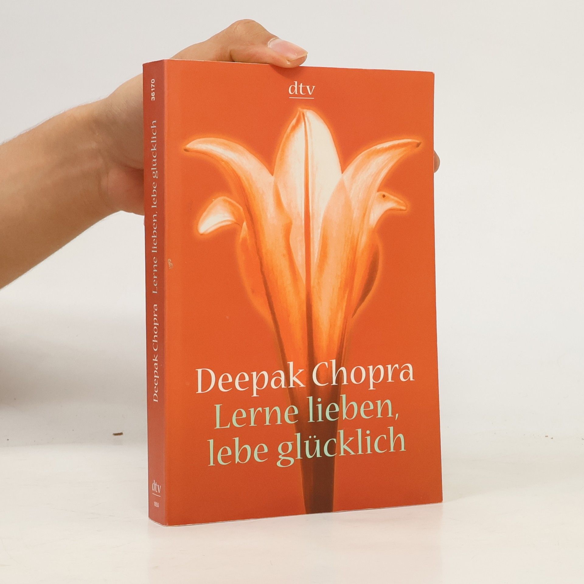 Lerne lieben, lebe glücklich. Der Weg zur spirituellen Liebe