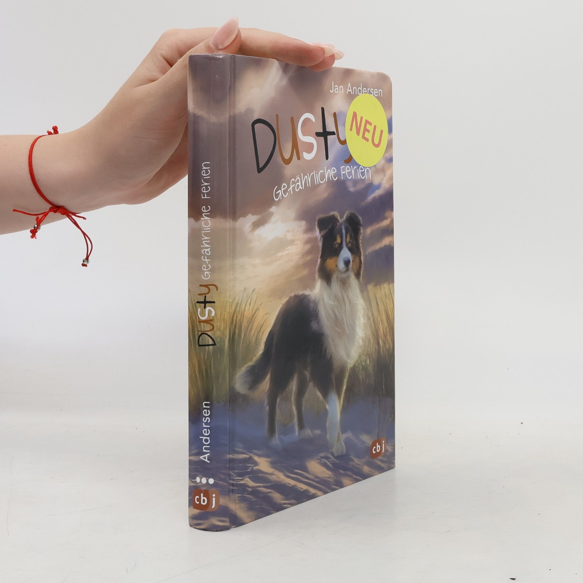 Wolfram Hänel Dusty. Gefährliche Ferien