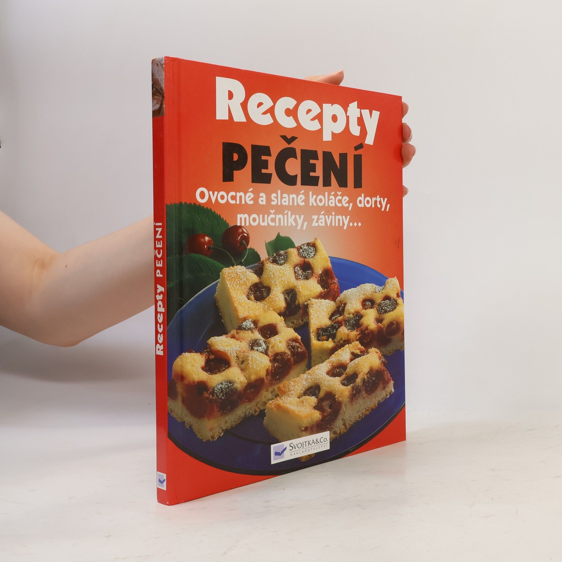 Kolektiv autorů Recepty Pečení