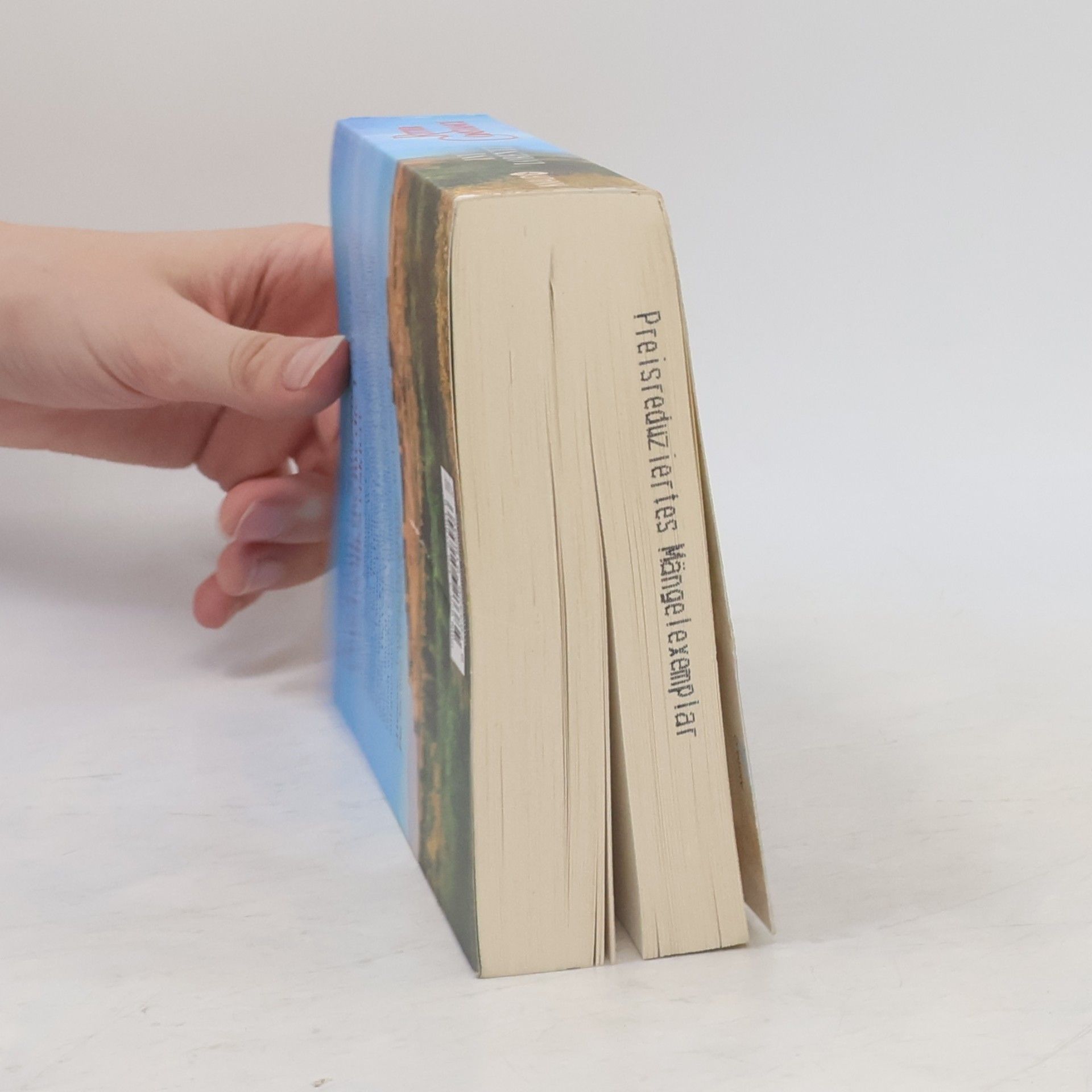 Iny Lorentz Ritter Constance