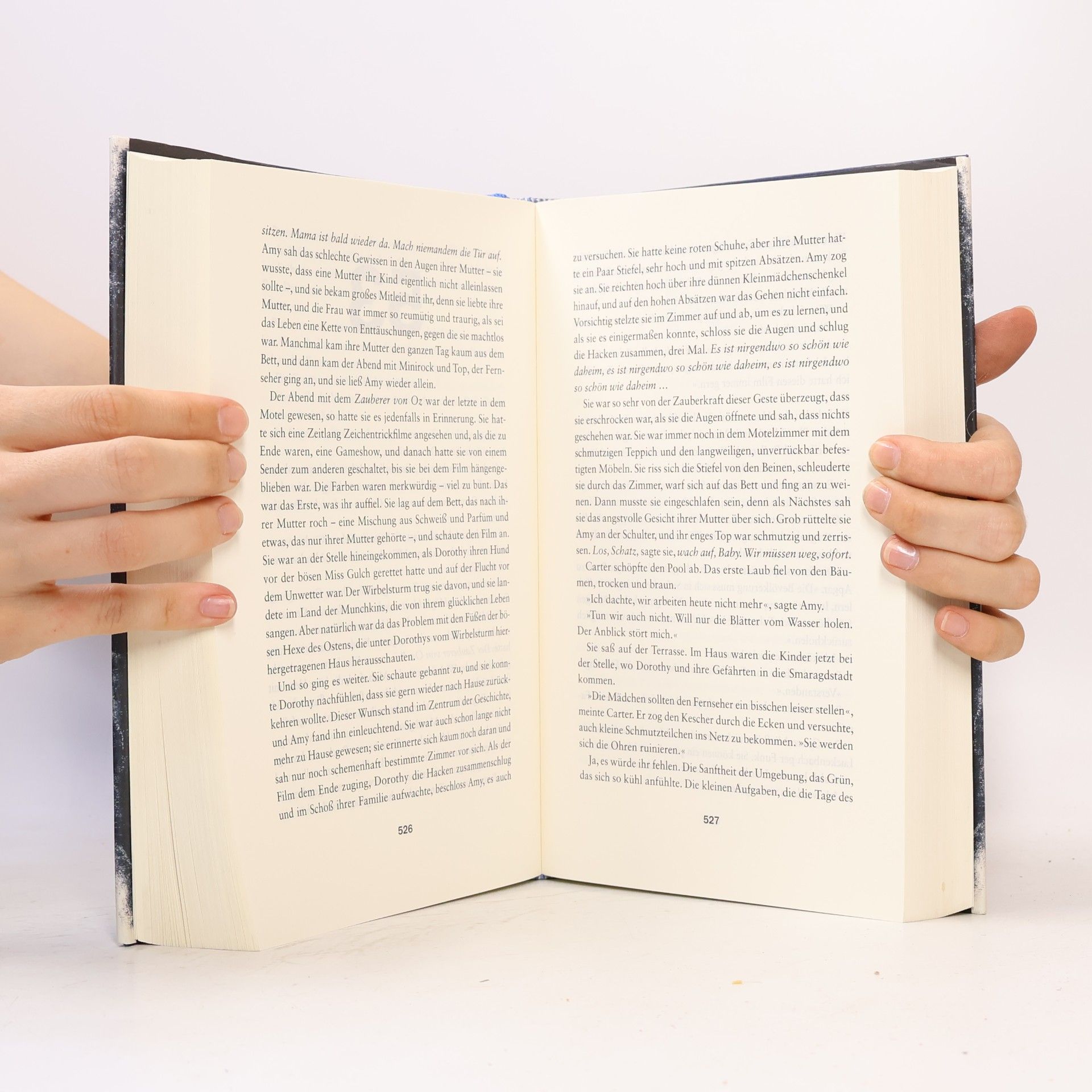 Justin Cronin Die Spiegelstadt