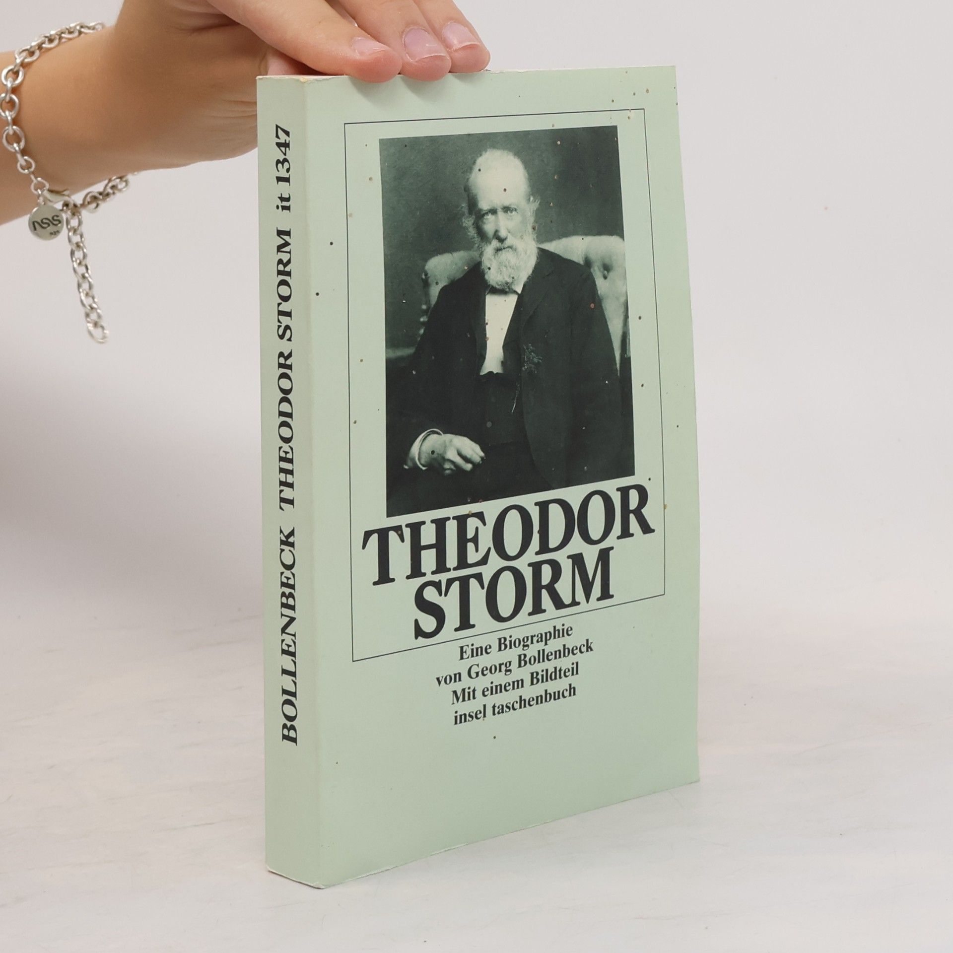 Georg Bollenbeck Theodor Storm