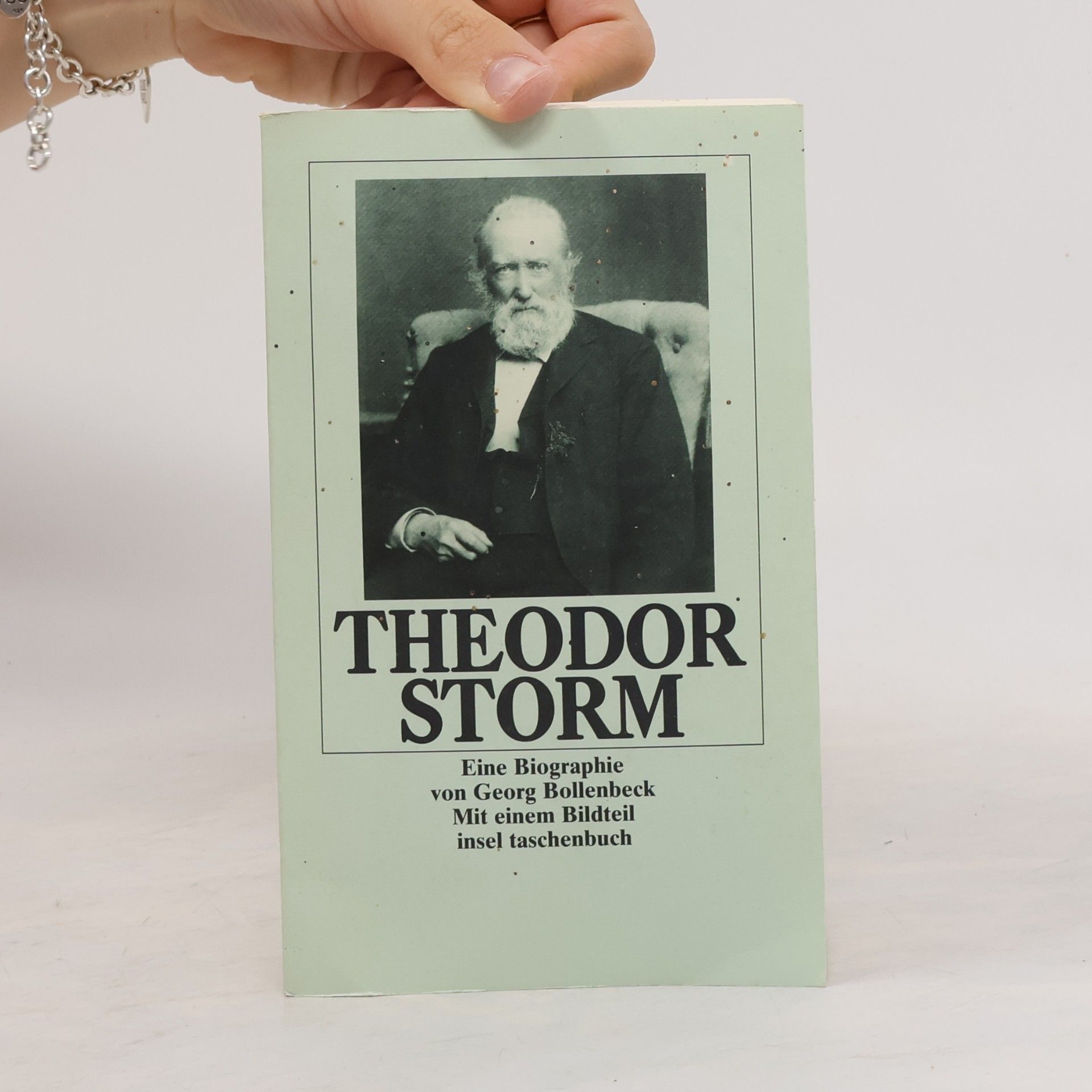 Georg Bollenbeck Theodor Storm
