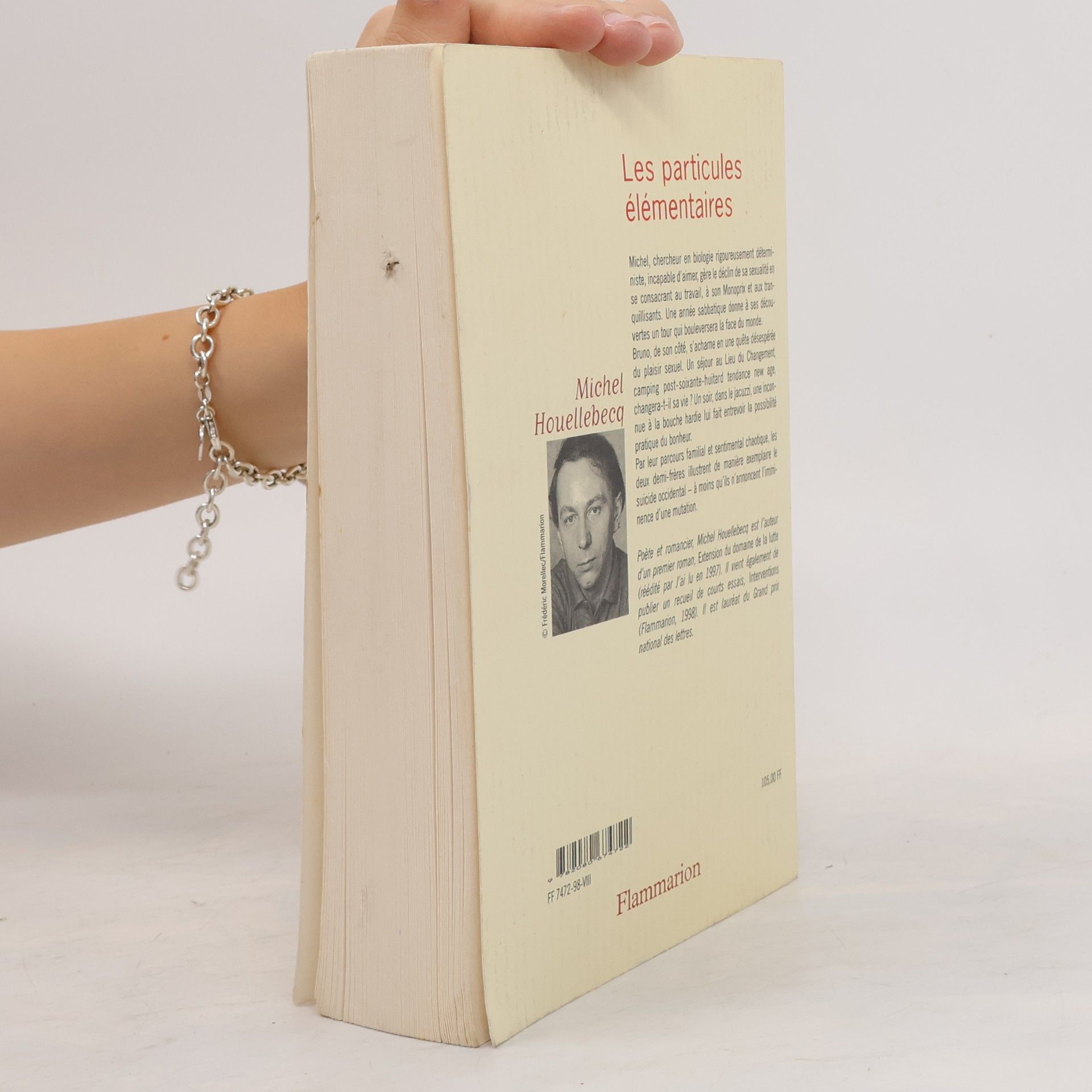 Michel Houellebecq Les Particules élémentaires