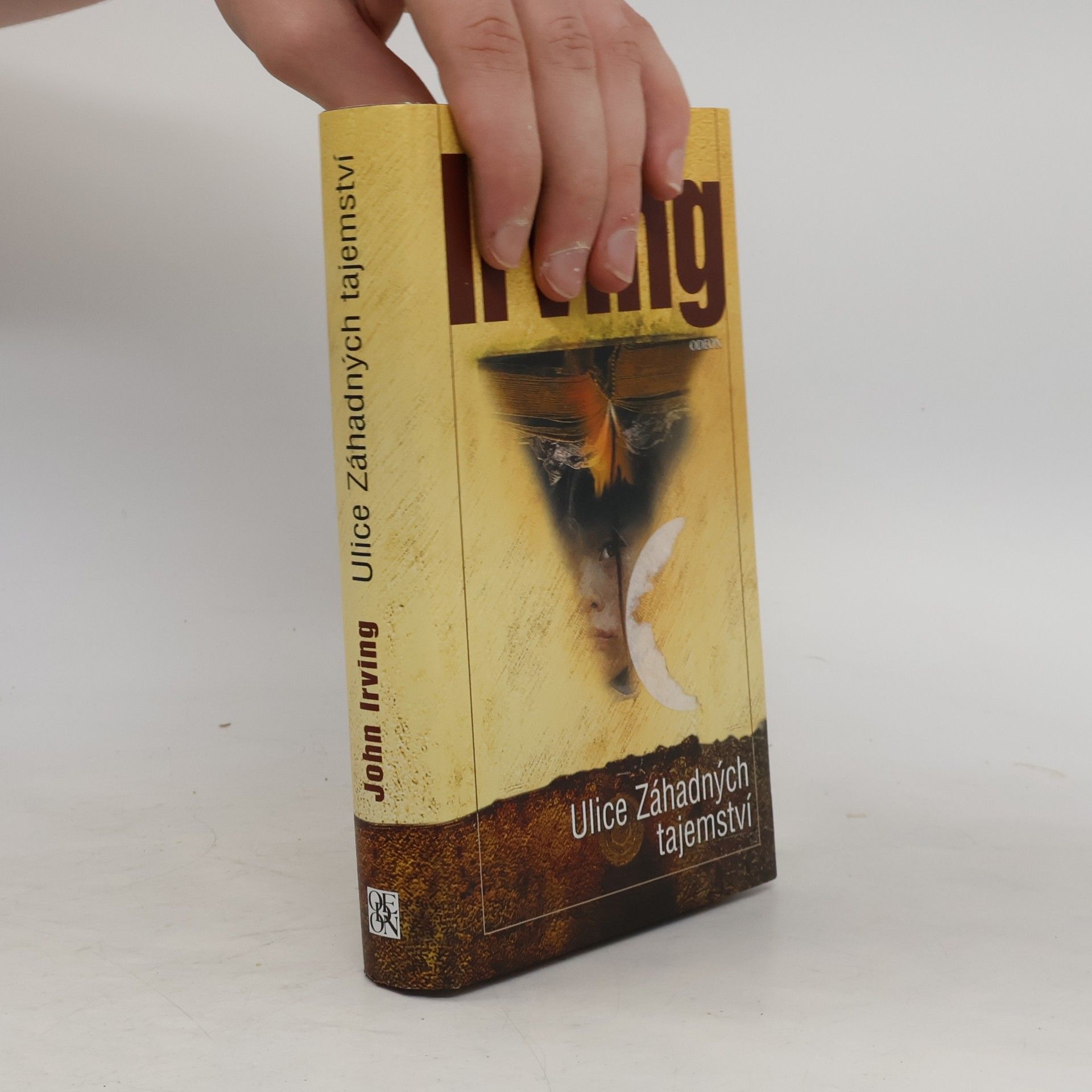 John Irving Ulice Záhadných tajemství