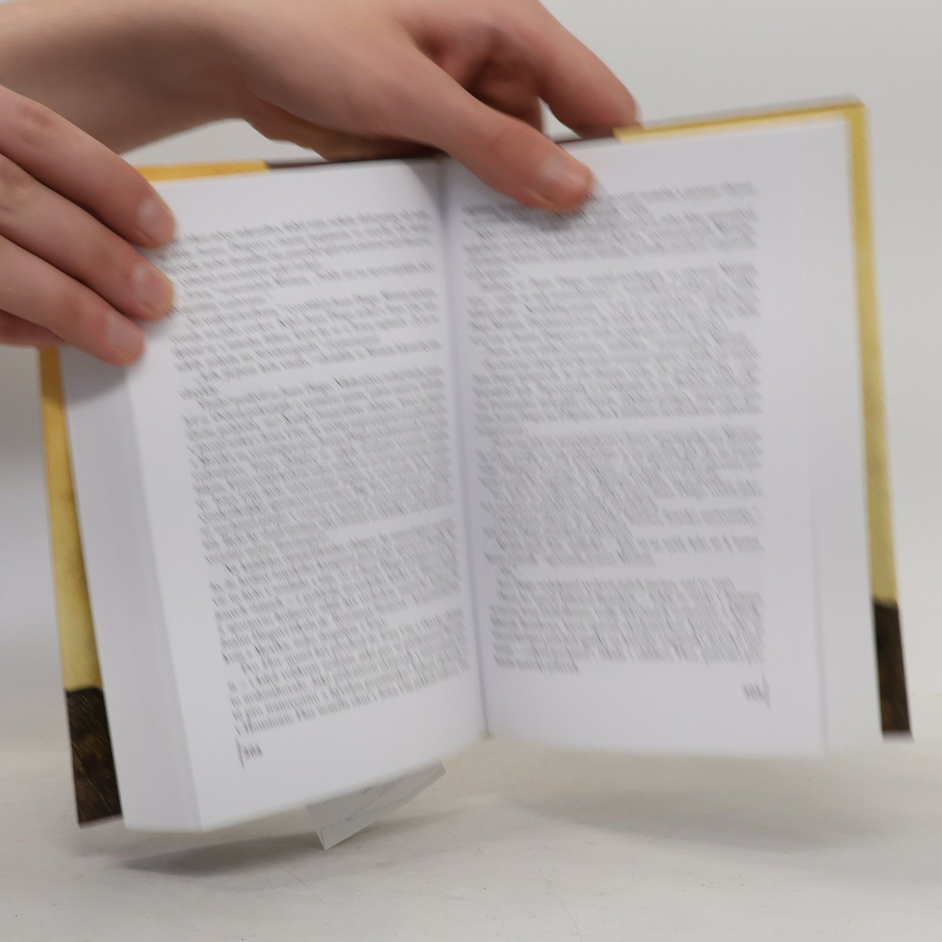 John Irving Ulice Záhadných tajemství