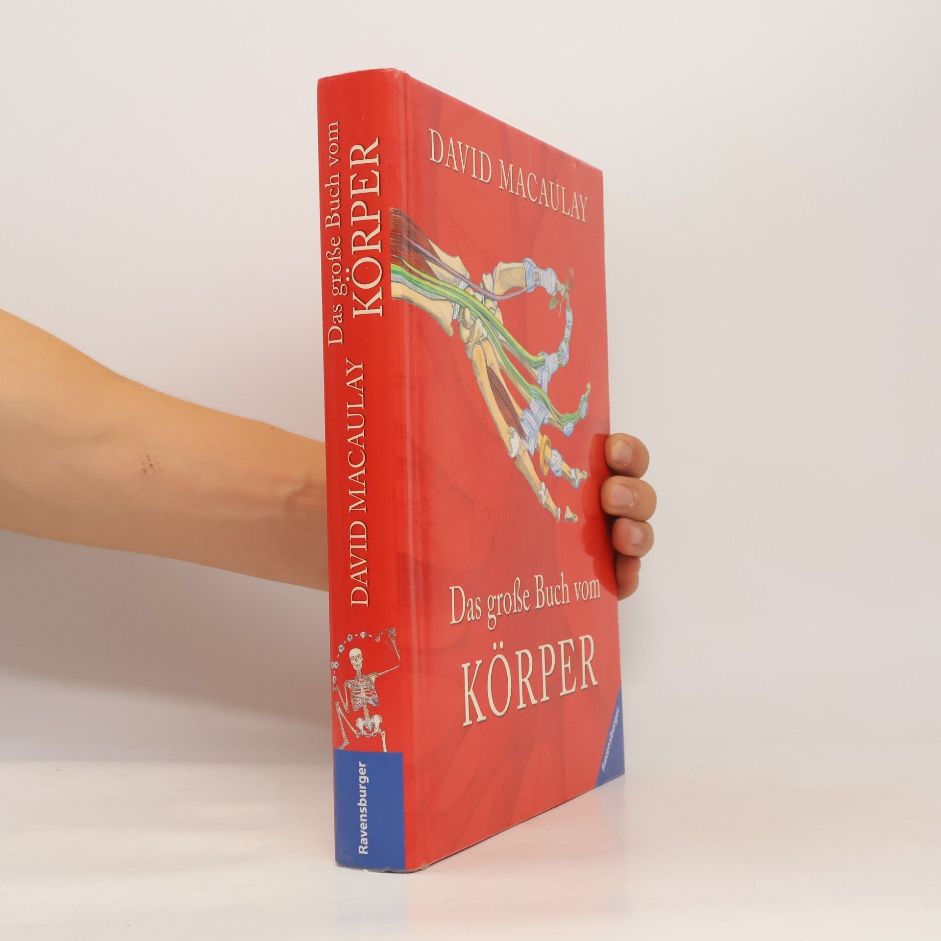 David Macaulay Das große Buch vom Körper