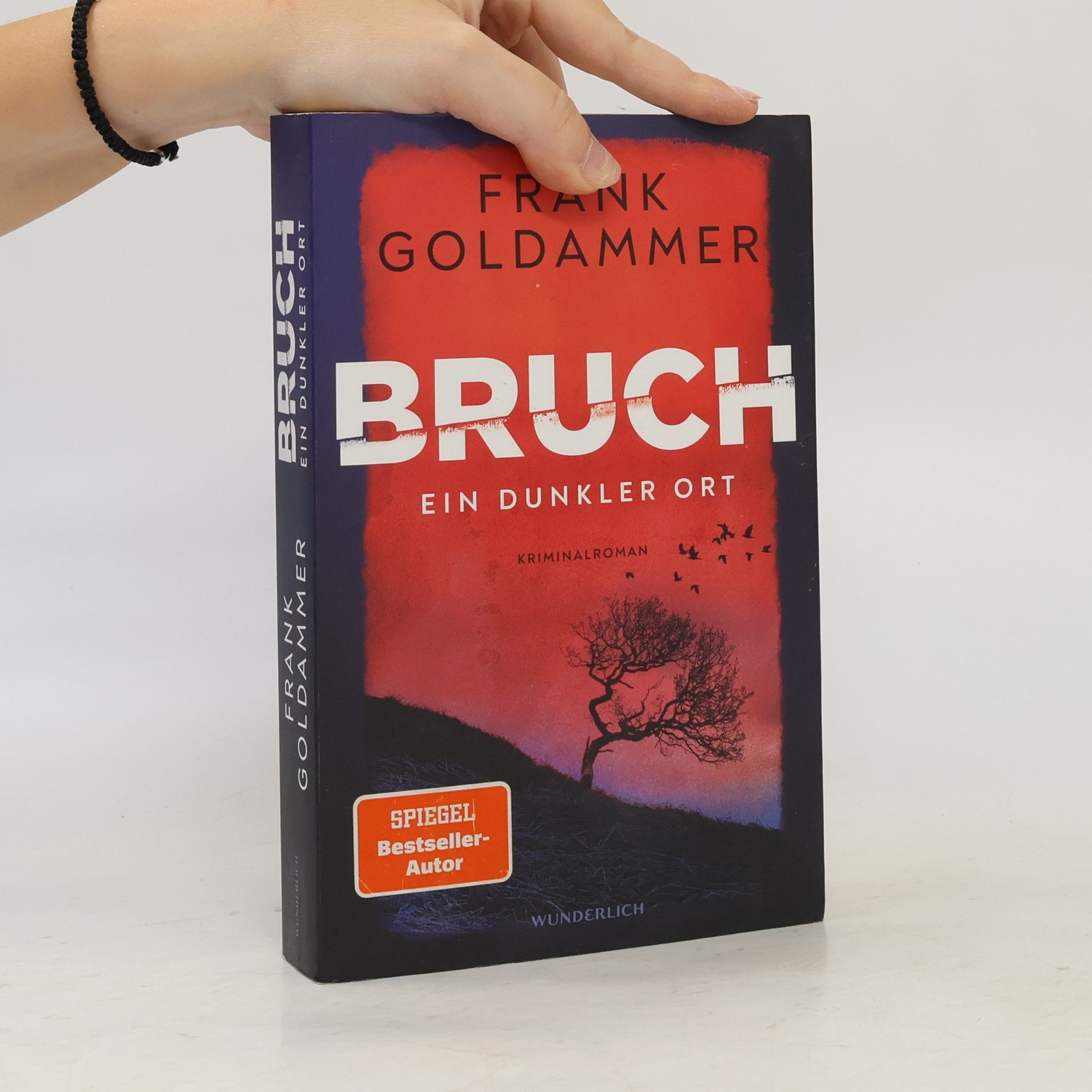 Frank Goldammer Bruch - ein dunkler Ort