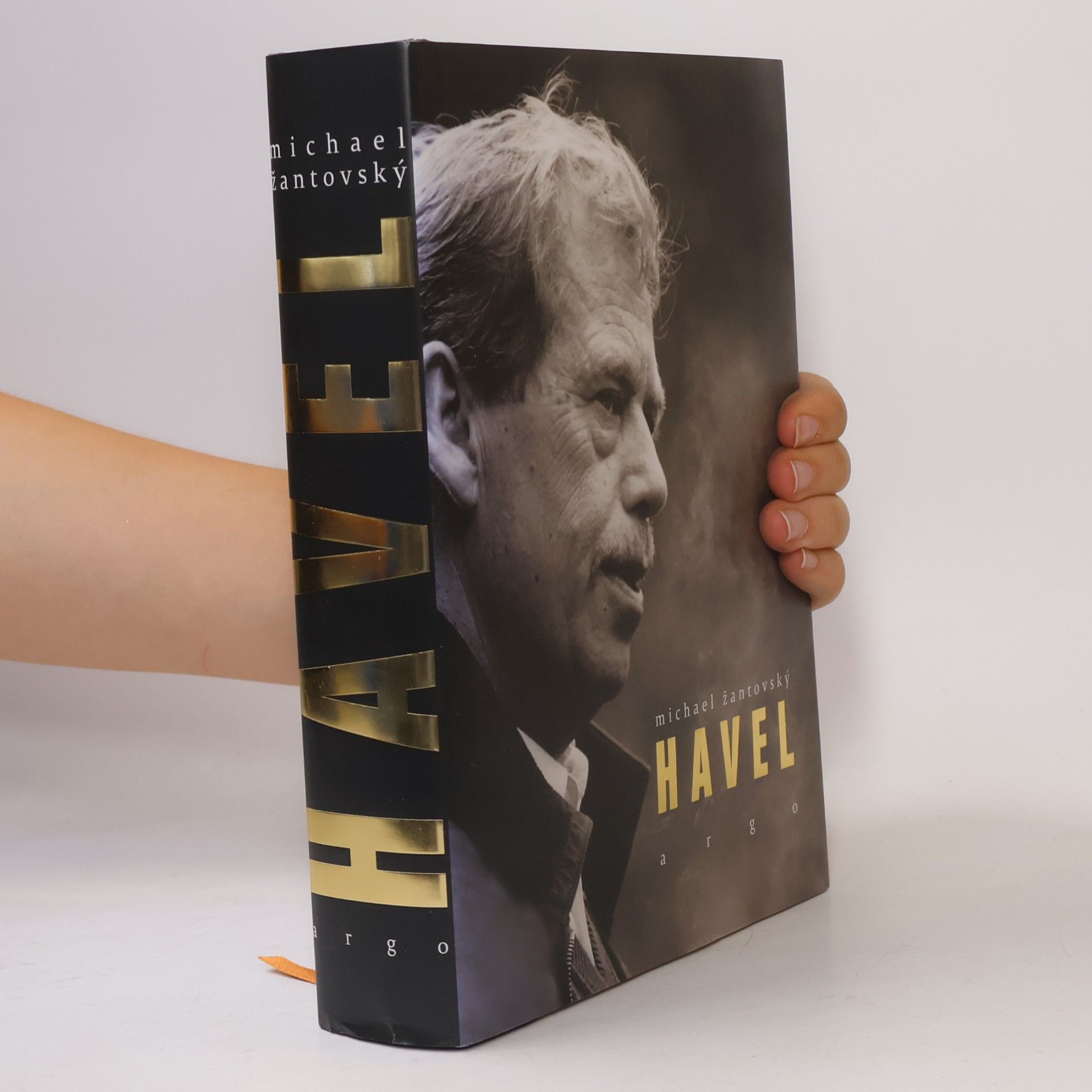 Michael Žantovský Havel