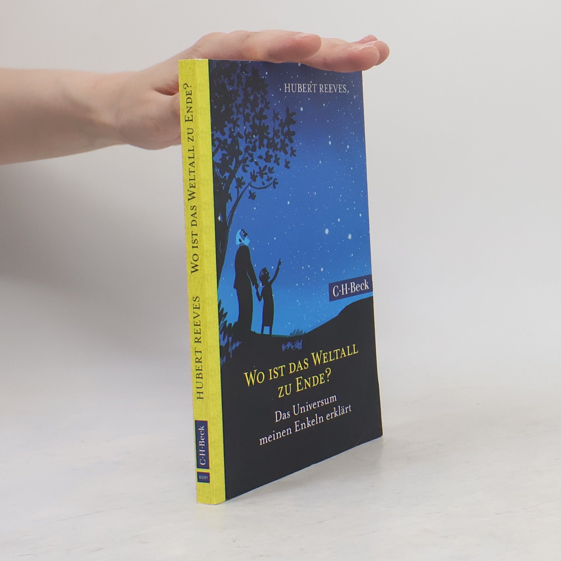 Hubert Reeves Wo ist das Weltall zu Ende?