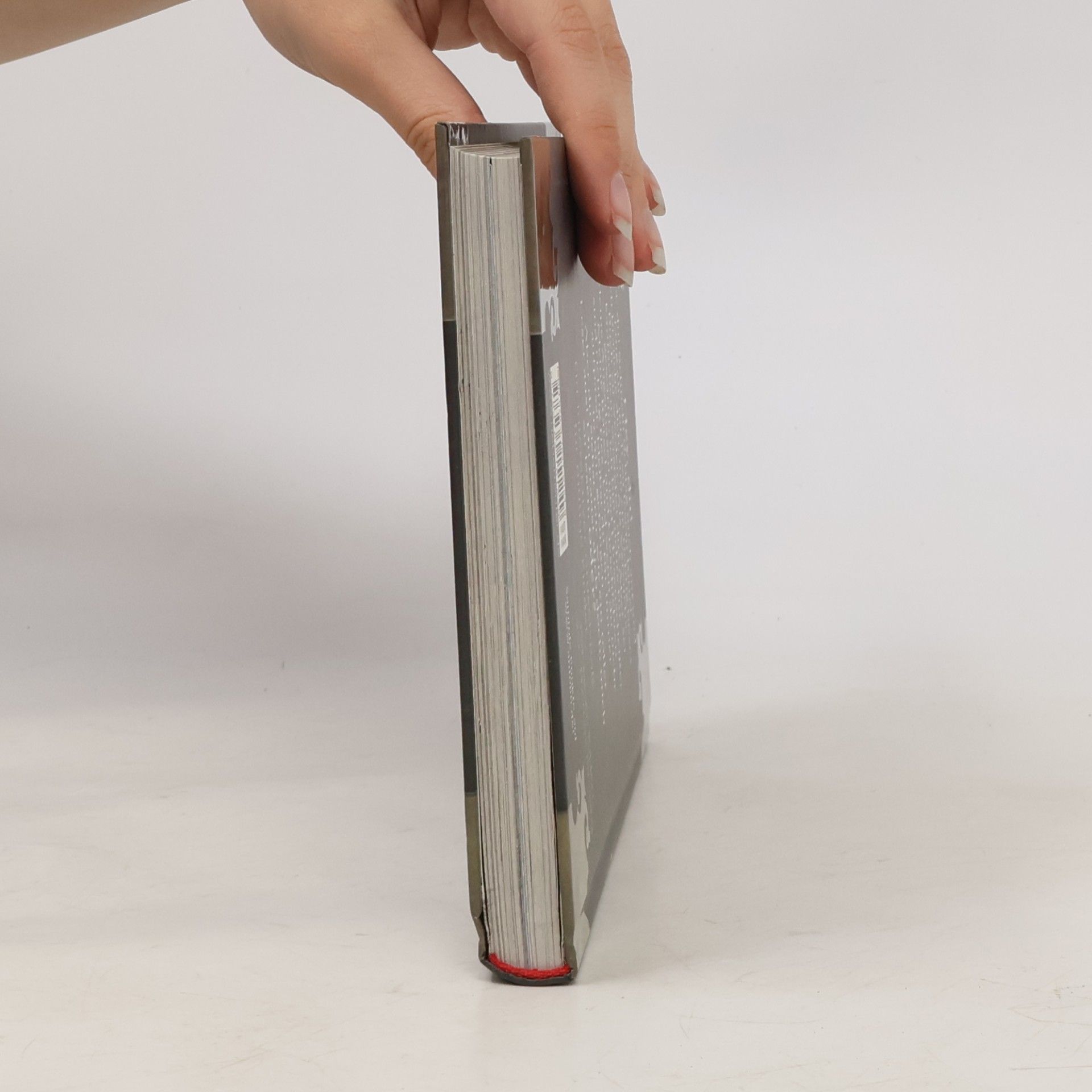 Magnnus Myst Das kleine Böse Buch