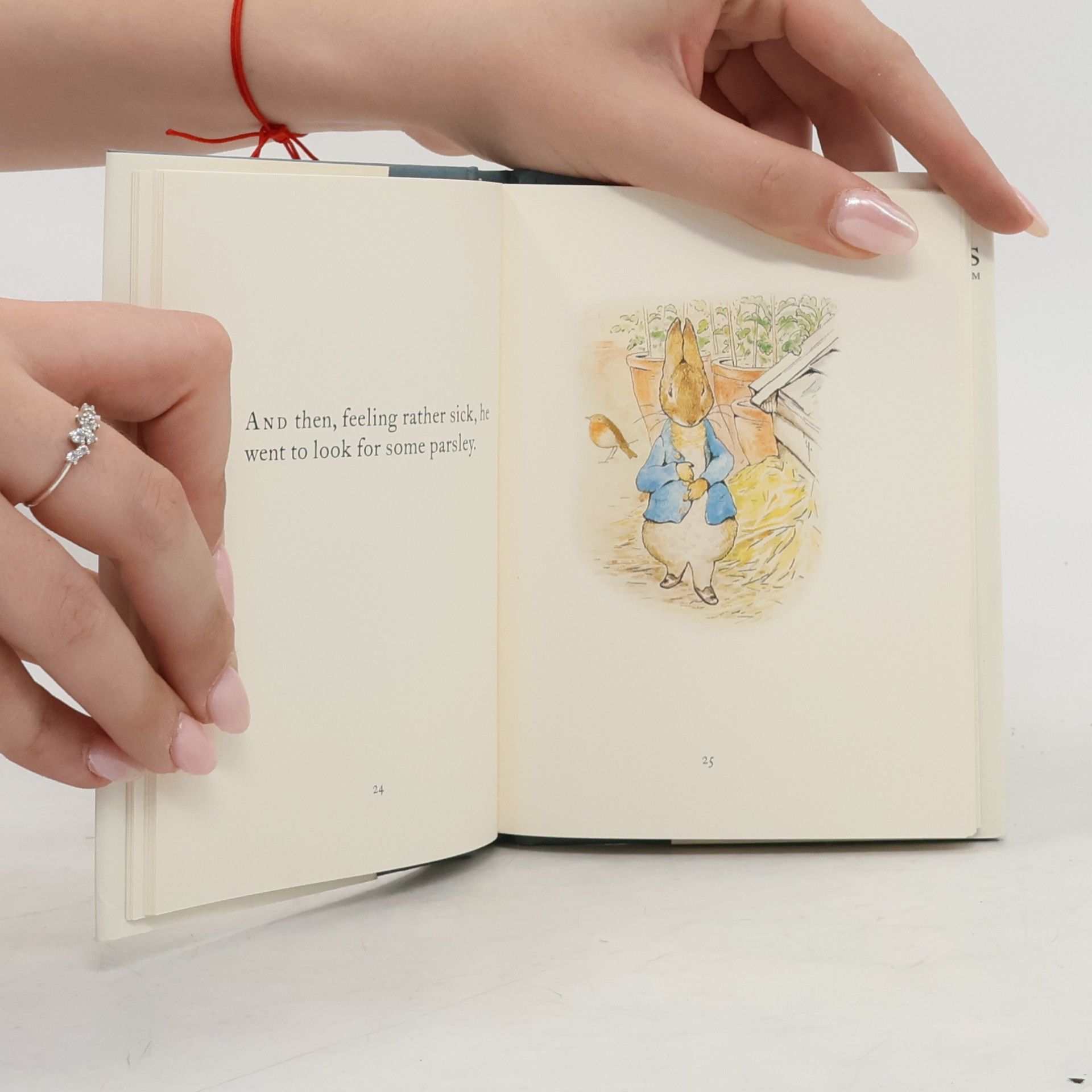 Beatrix Potter The Tale of Peter Rabbit