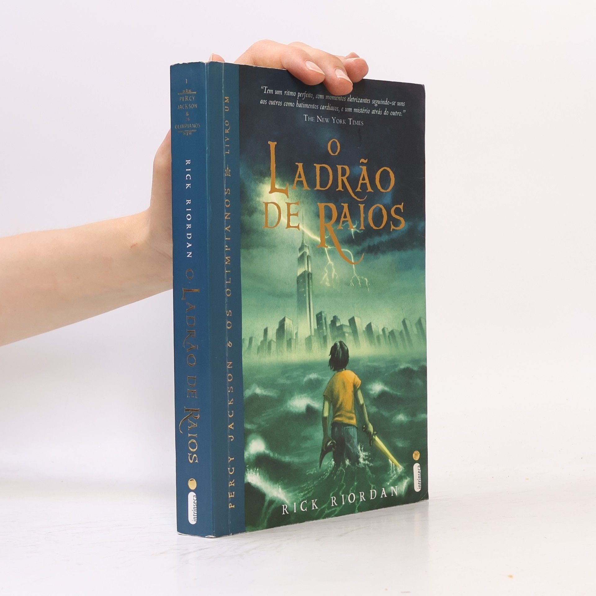 Ricardo Gouveia Percy Jackson & Os Olimpianos - 1: O Ladrão de Raios