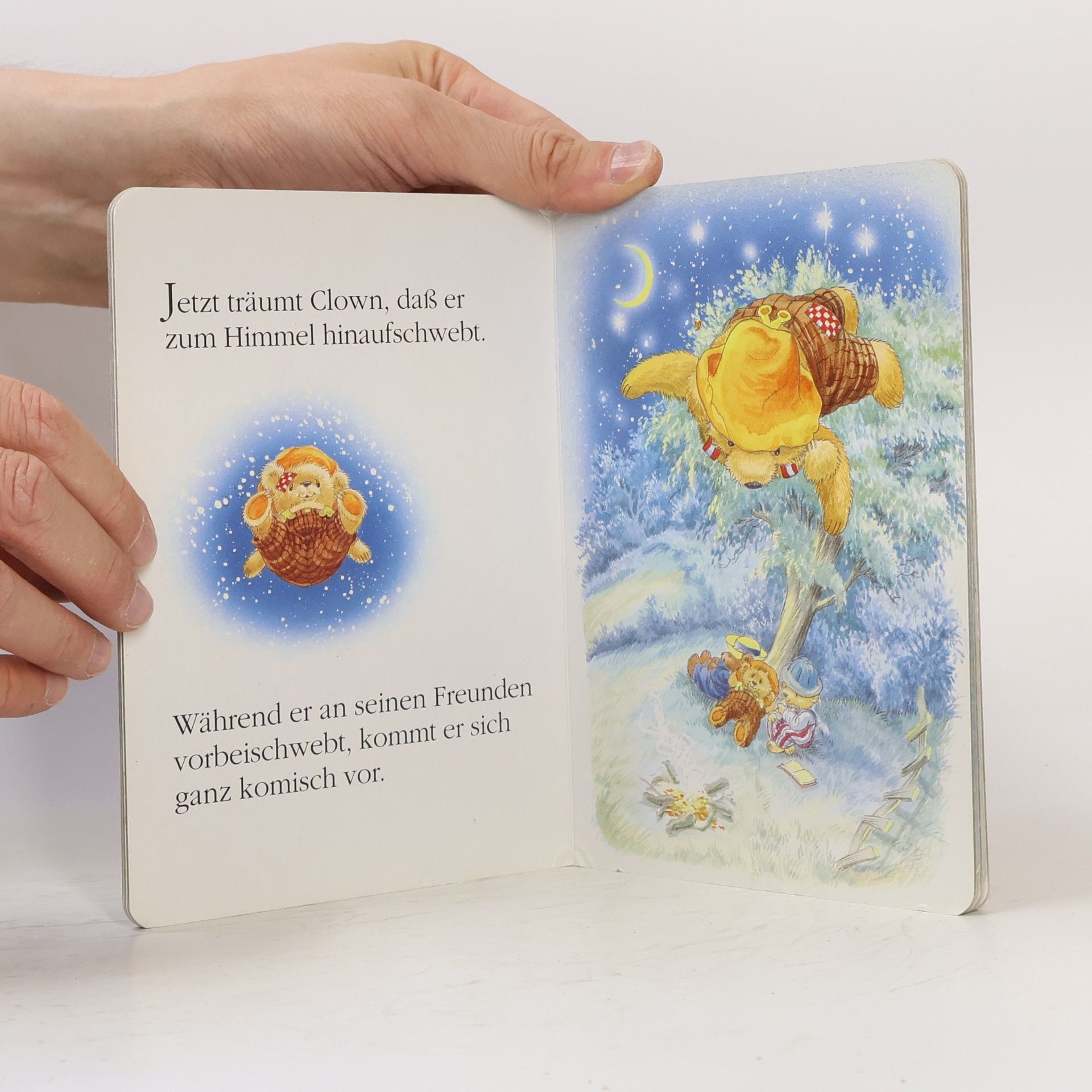Kolektiv autorů Der Traum. Teddy-Abenteuer