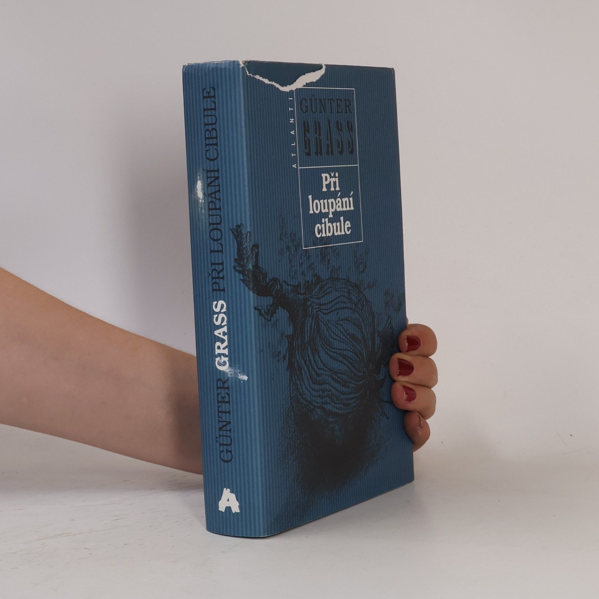 Günter Grass Při loupání cibule