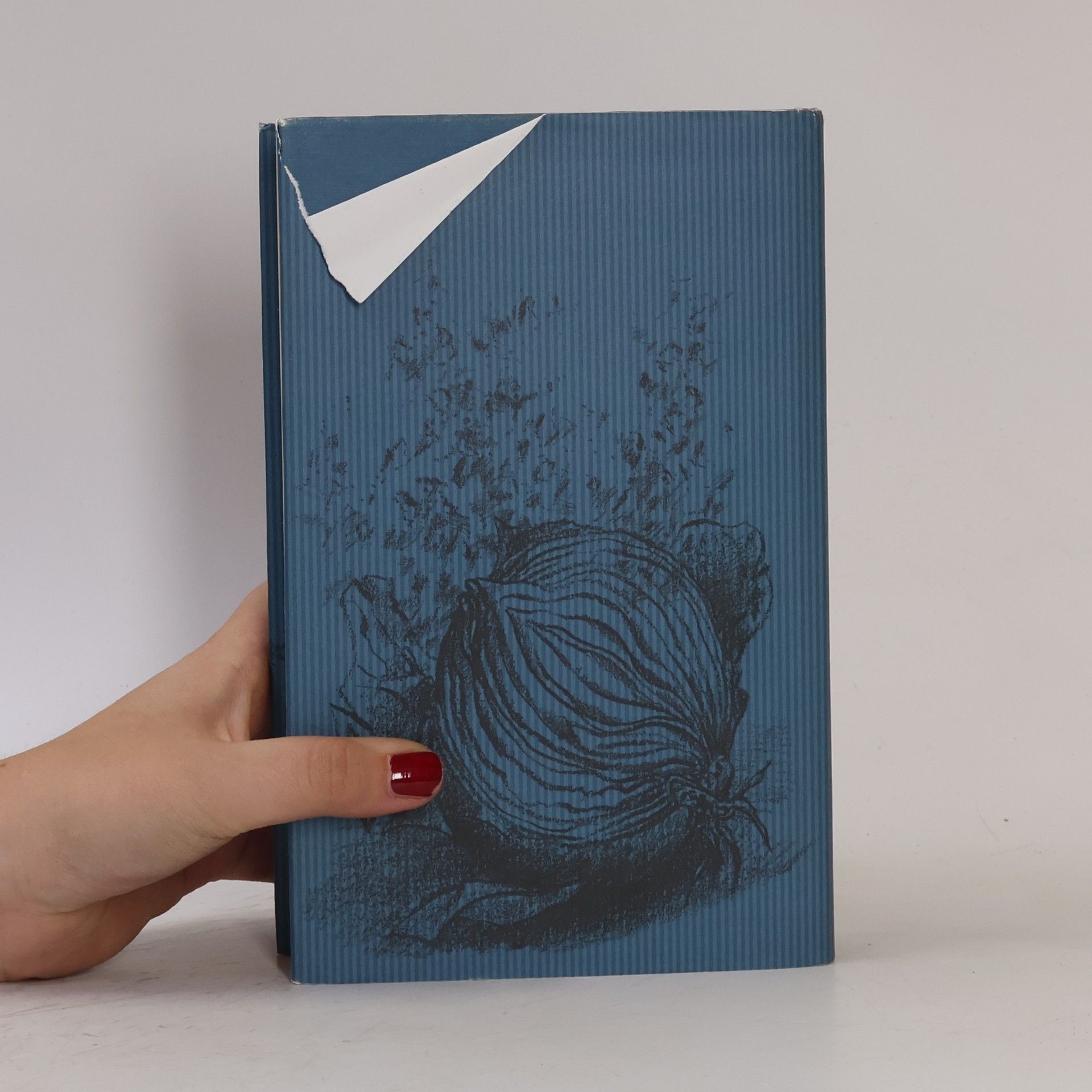 Günter Grass Při loupání cibule