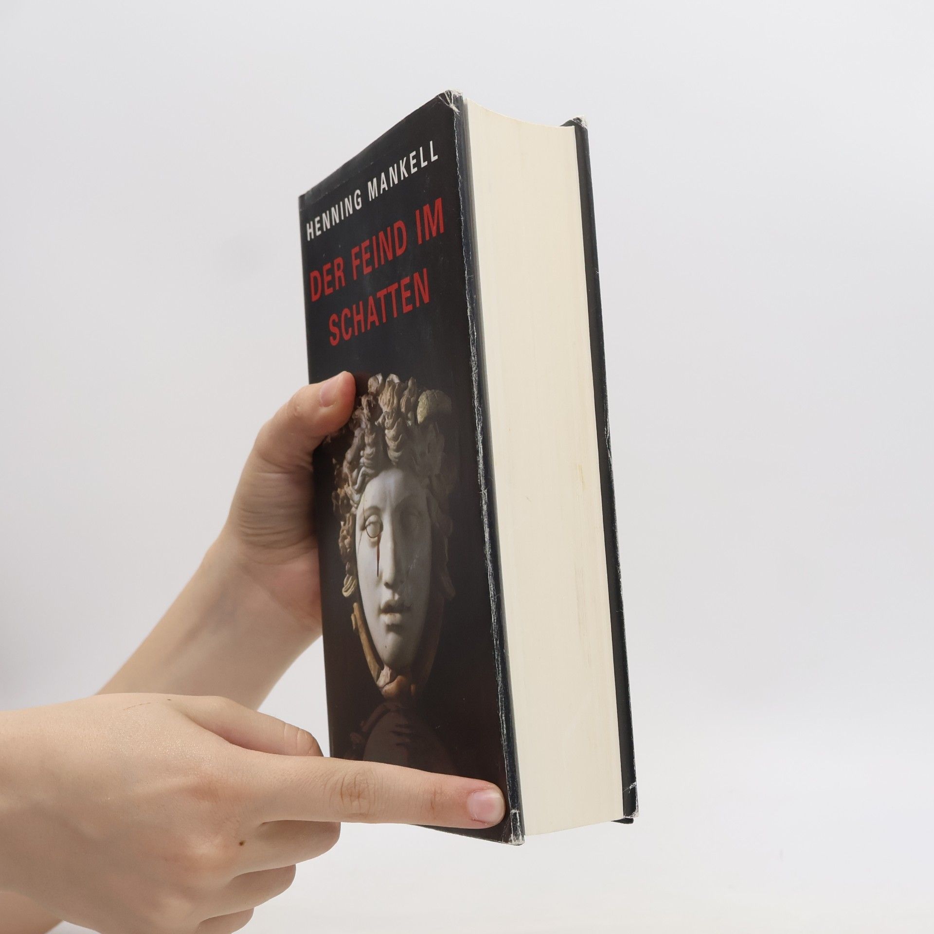 Henning Mankell Der Feind im Schatten