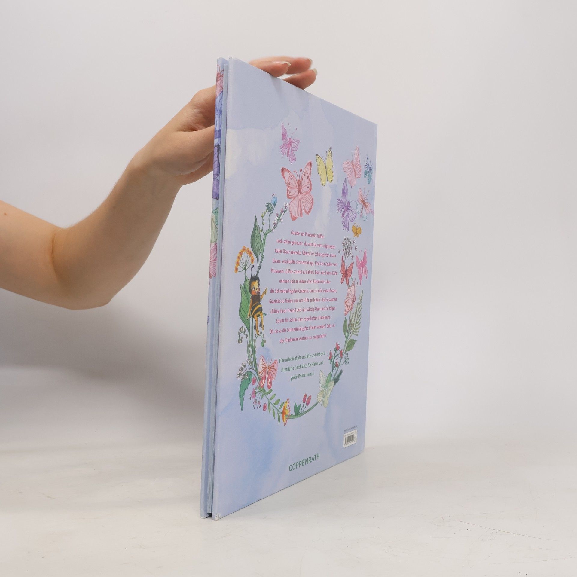 Monika Finsterbusch Prinzessin Lillifee - der Schmetterlingspalast