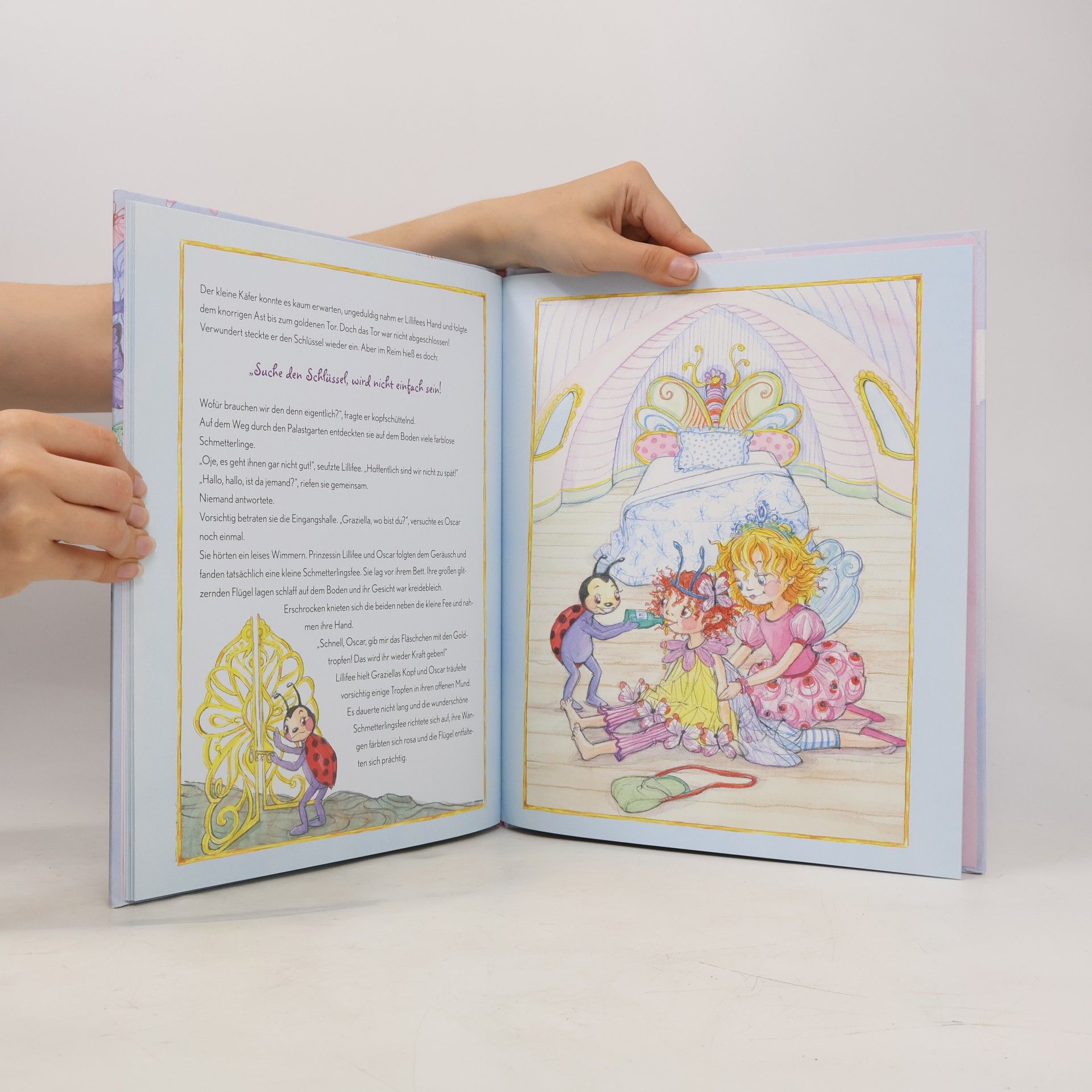 Monika Finsterbusch Prinzessin Lillifee - der Schmetterlingspalast