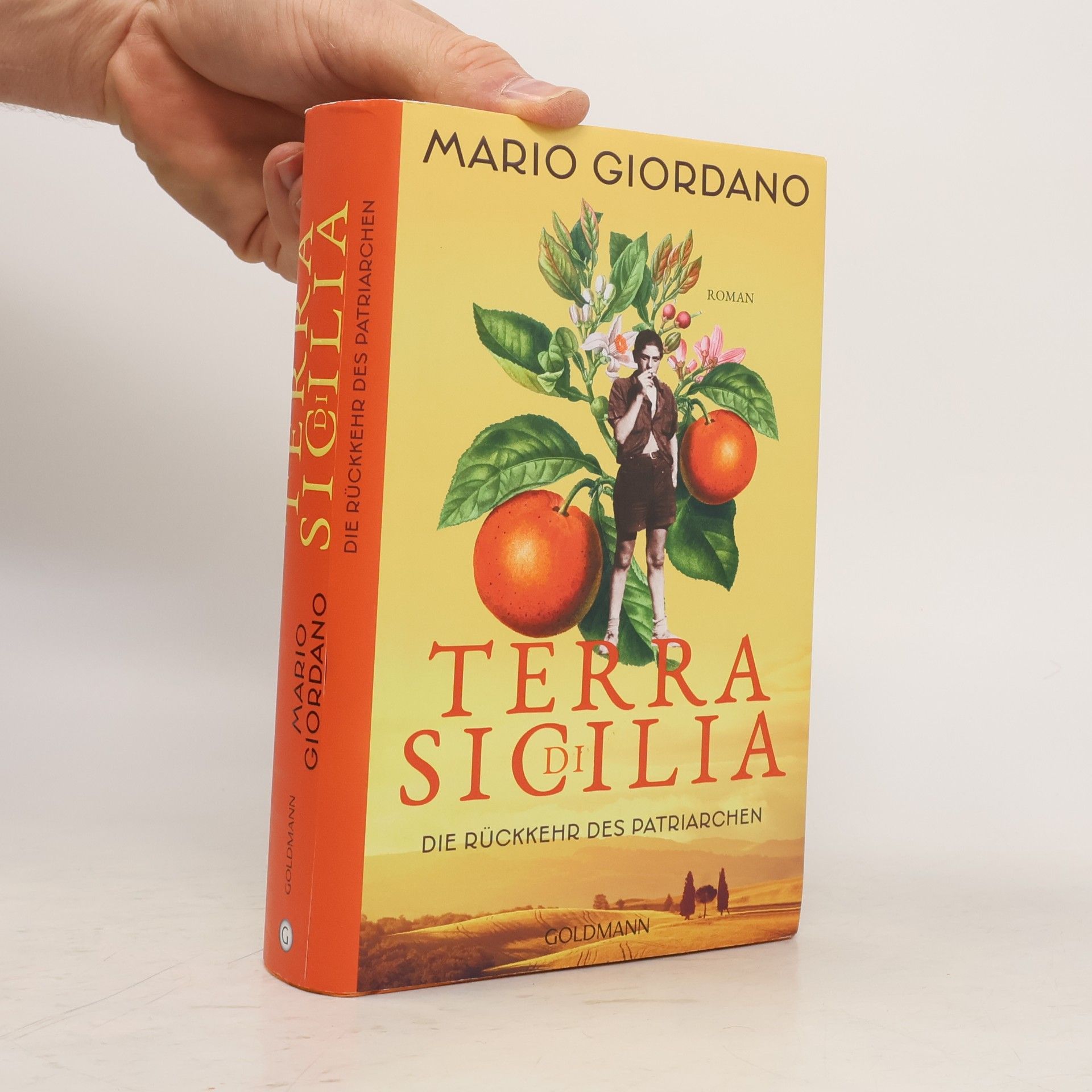 Mario Giordano Terra di Sicilia - die Rückkehr des Patriarchen