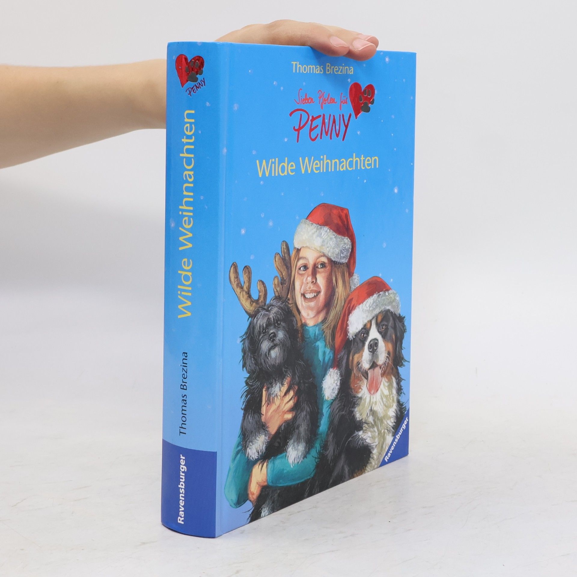 Thomas Brezina Wilde Weihnachten