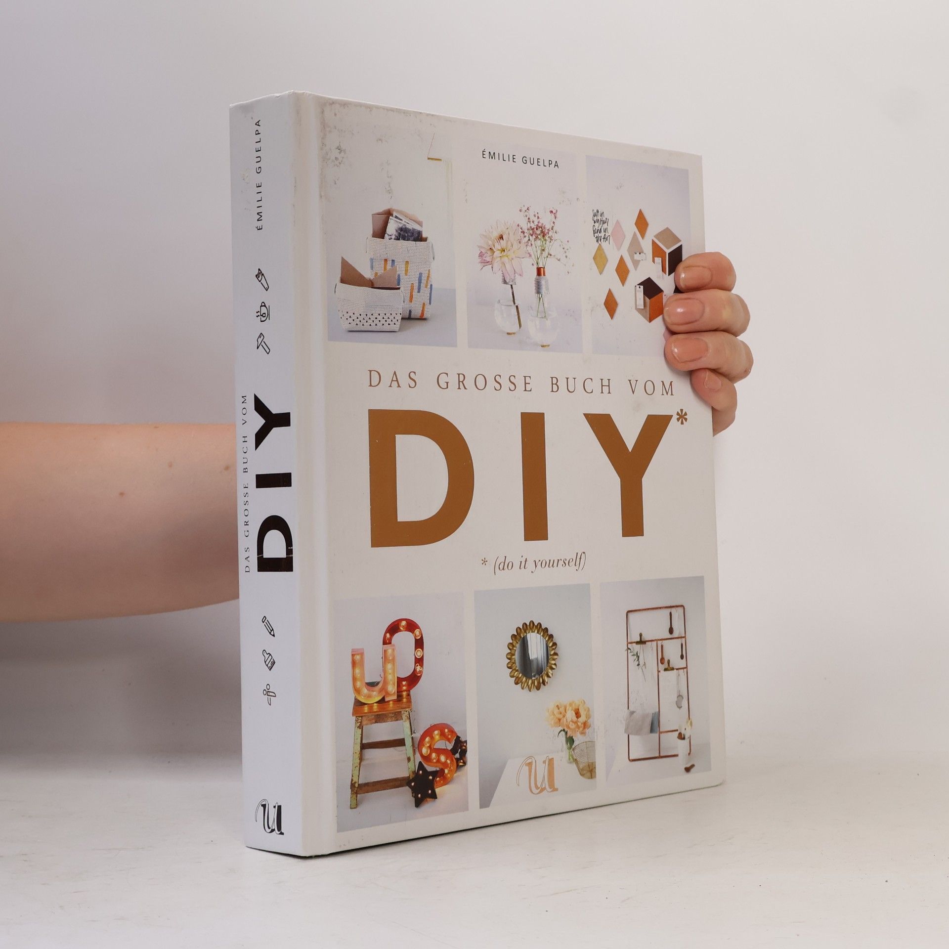 Émilie Guelpa Das große Buch vom DIY (do it yourself)