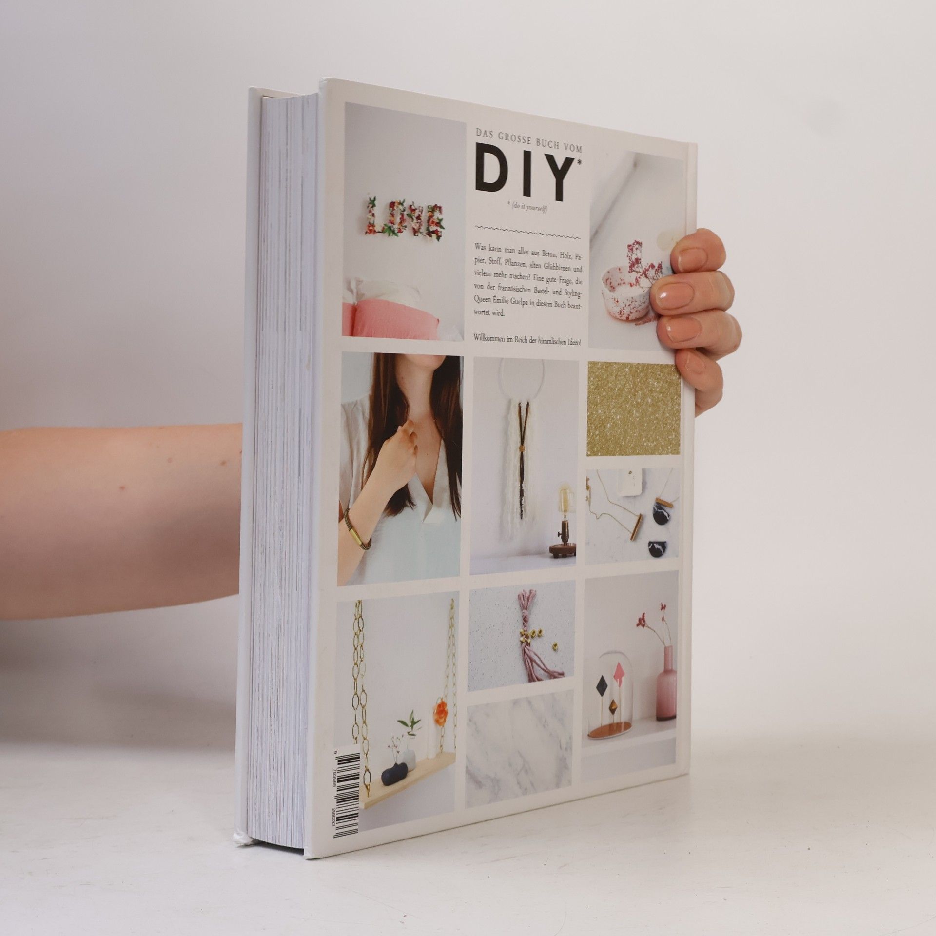 Émilie Guelpa Das große Buch vom DIY (do it yourself)