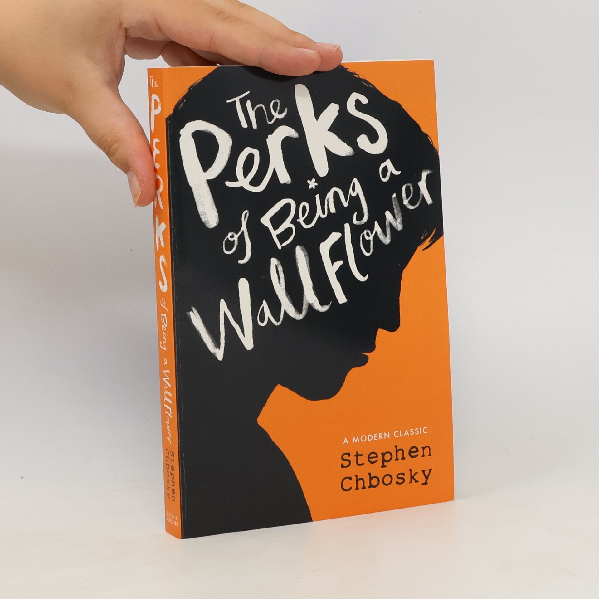 Stephen Chbosky The Perks of Being a Wallflower