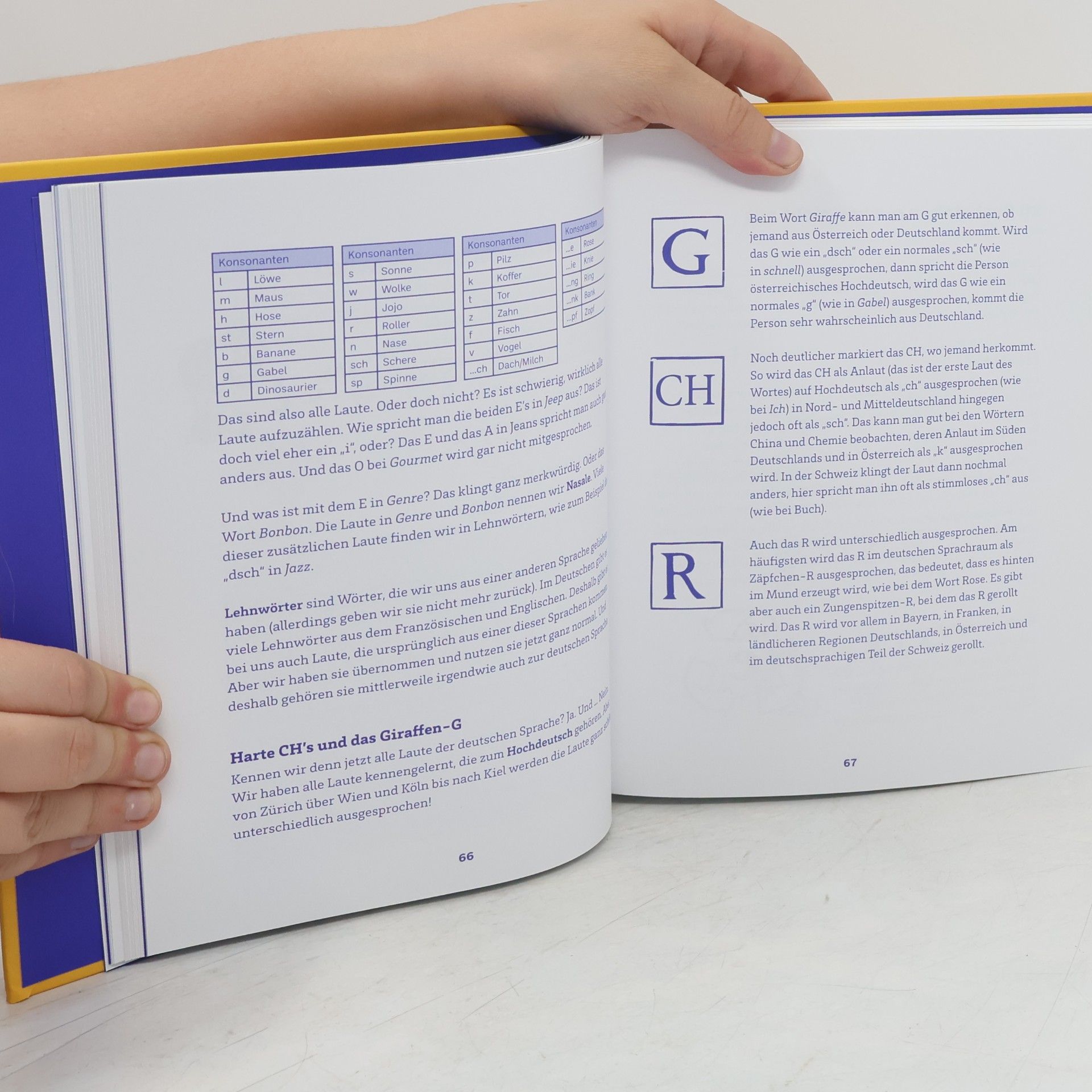 Frank Landsbergen Das dicke Buch der Alphabete