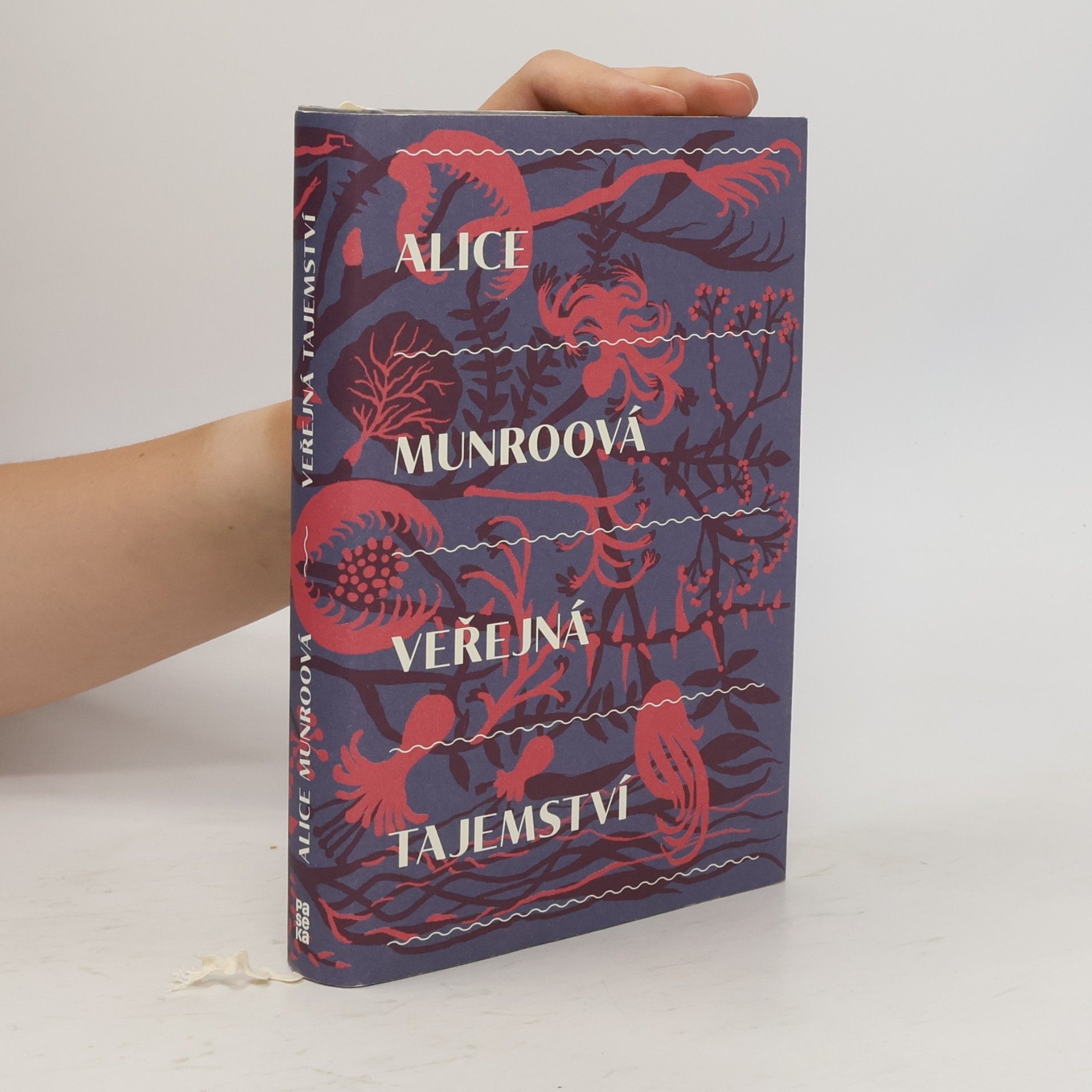 Alice Munroová Veřejná tajemství